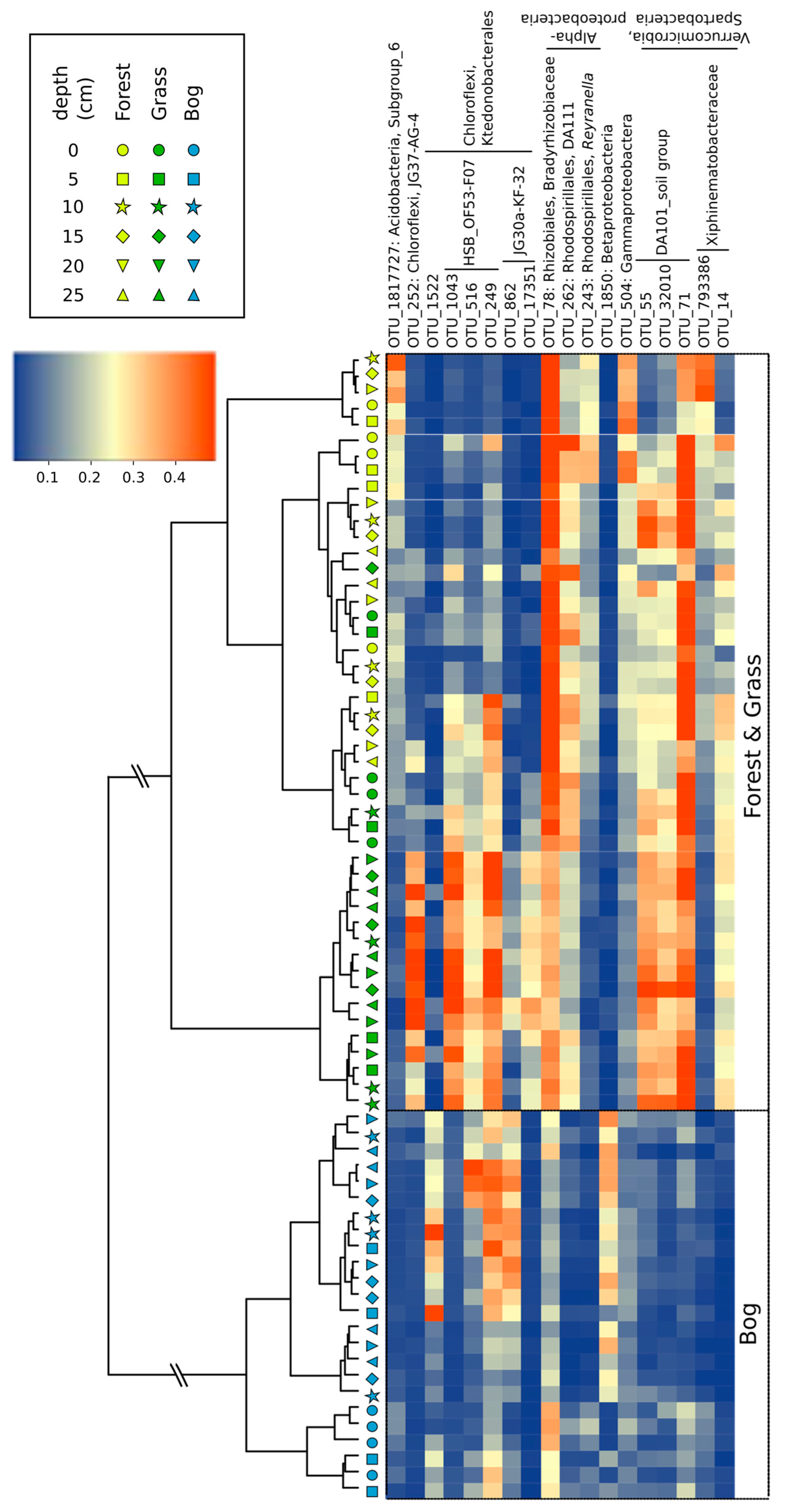 Microorganisms 09 00606 g005