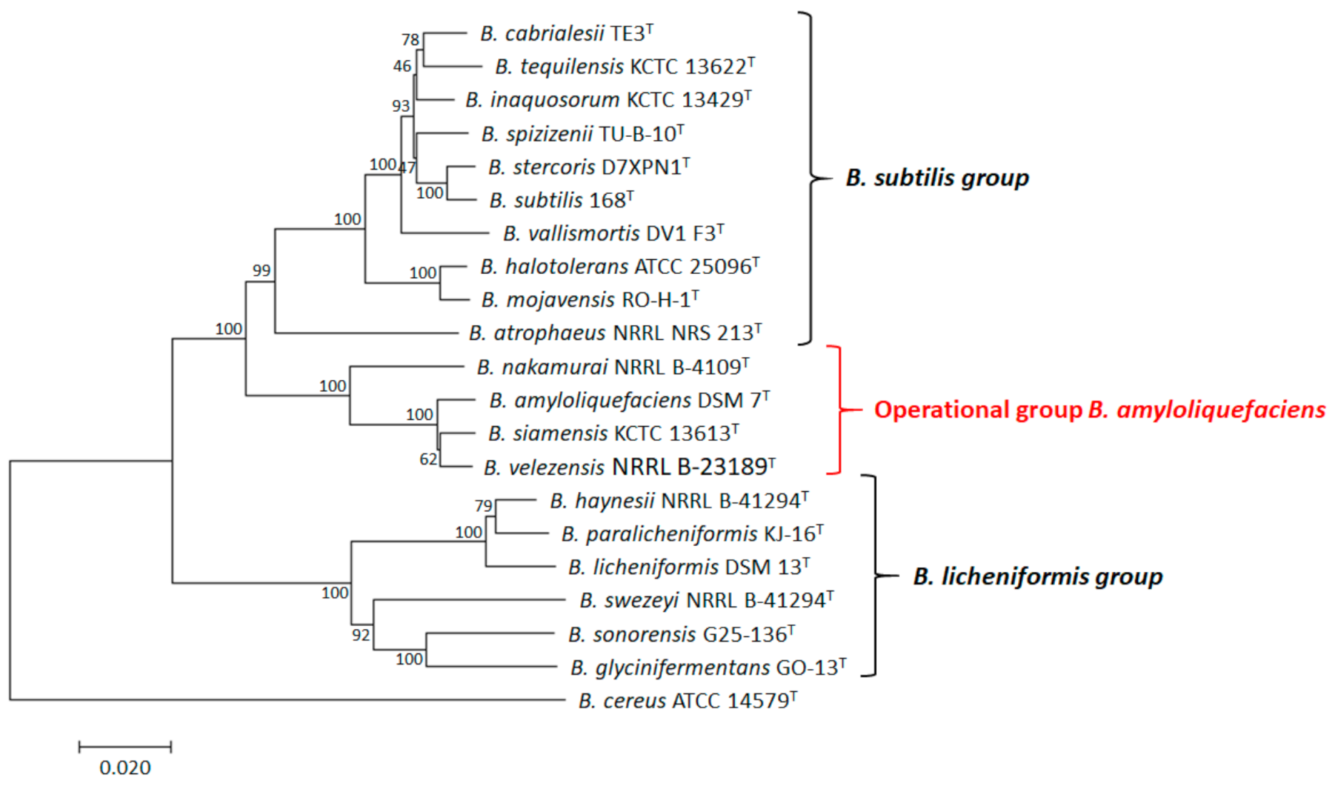 Microorganisms 09 00614 g001