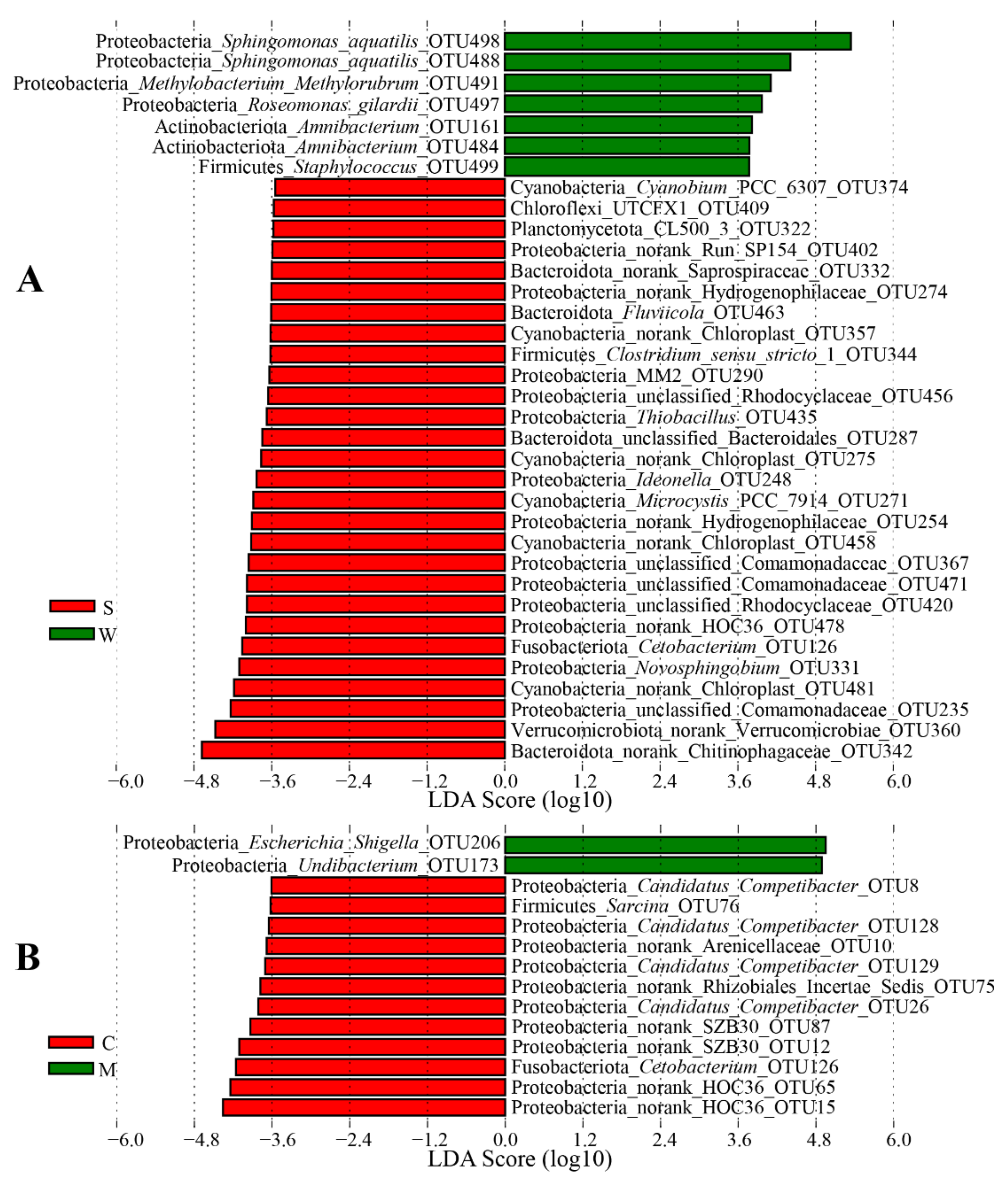 Microorganisms 09 00617 g004 Microorganisms 09 00617 g004
