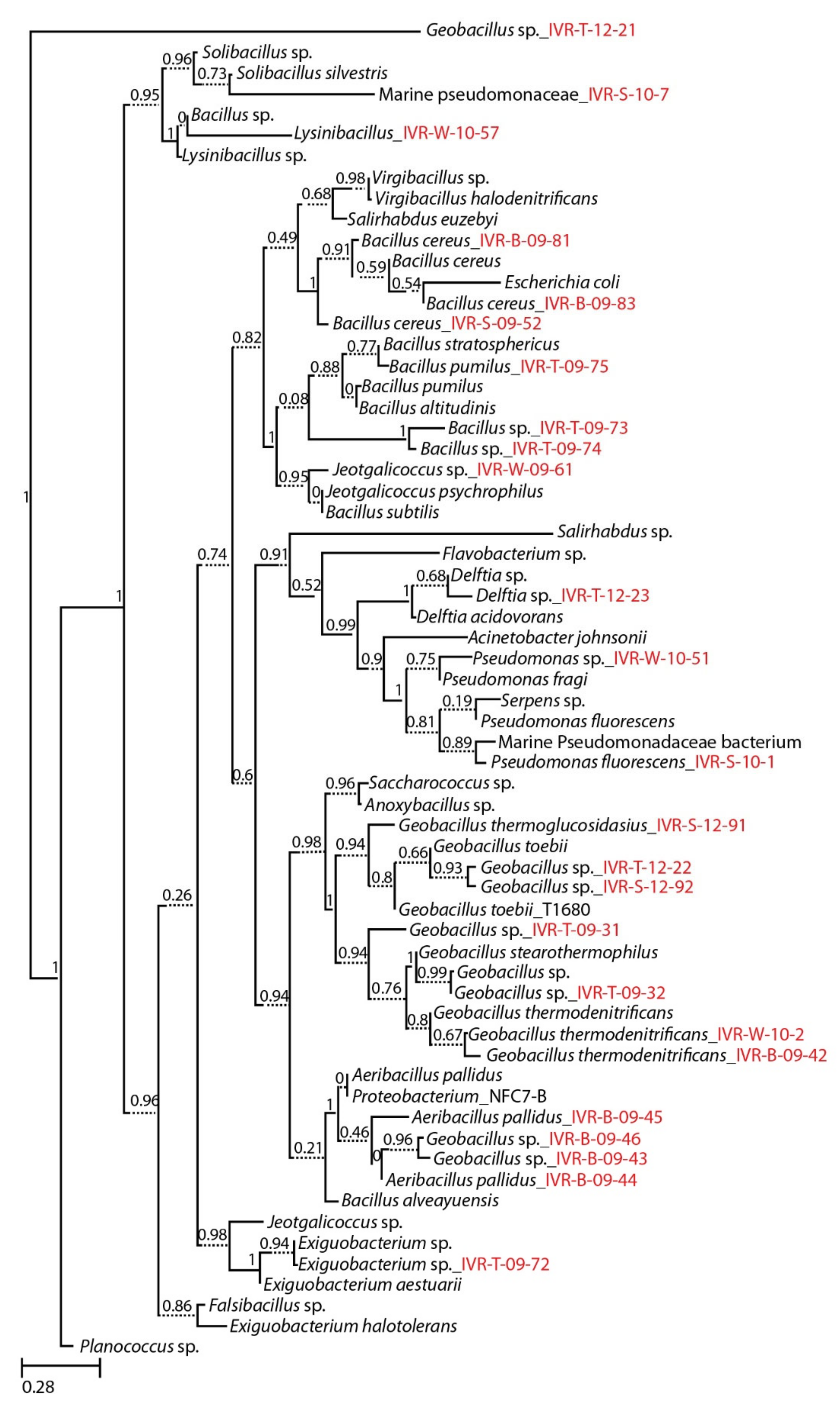 Microorganisms 09 00619 g002 Microorganisms 09 00619 g002