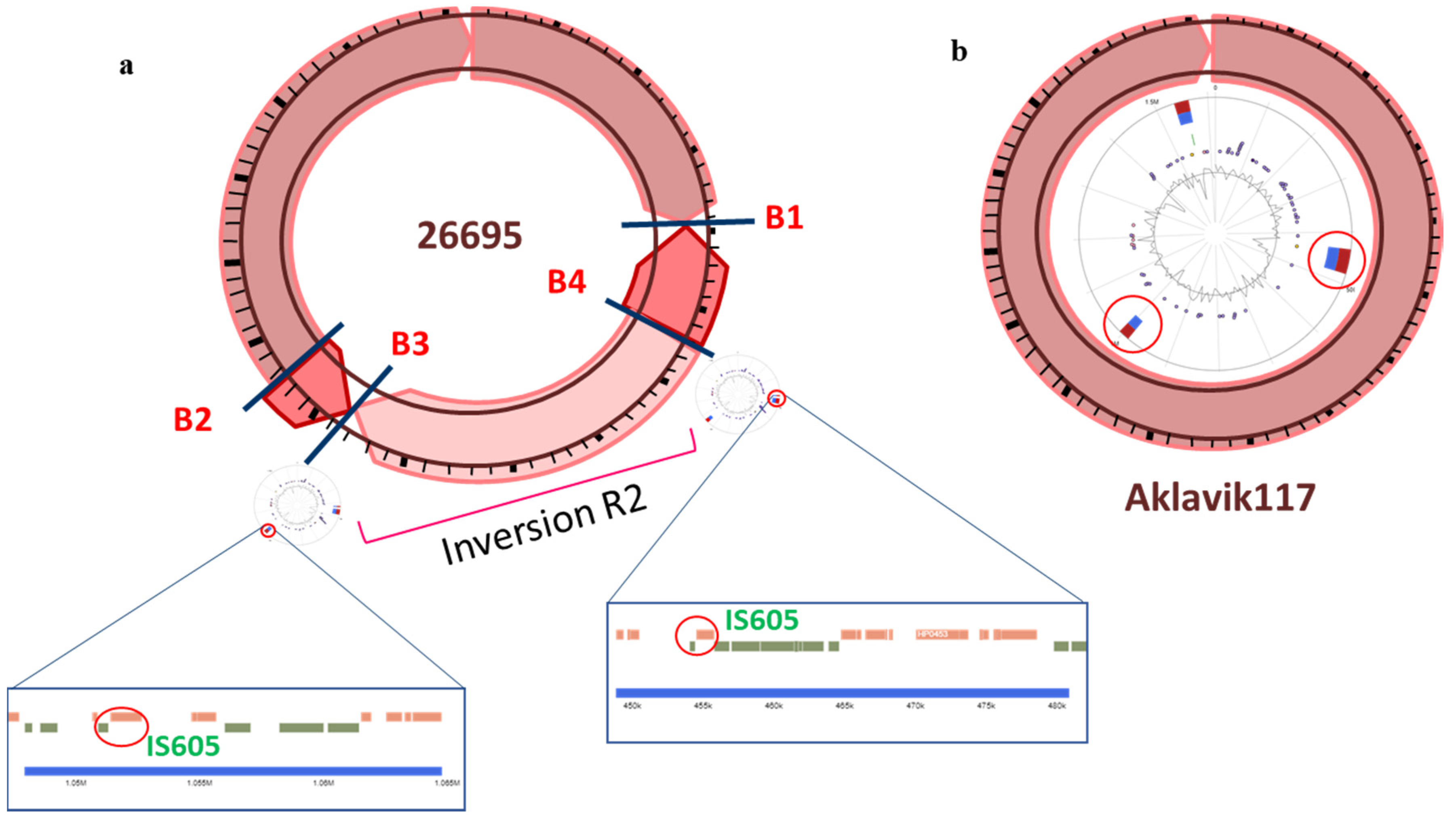 Microorganisms 09 00621 g001