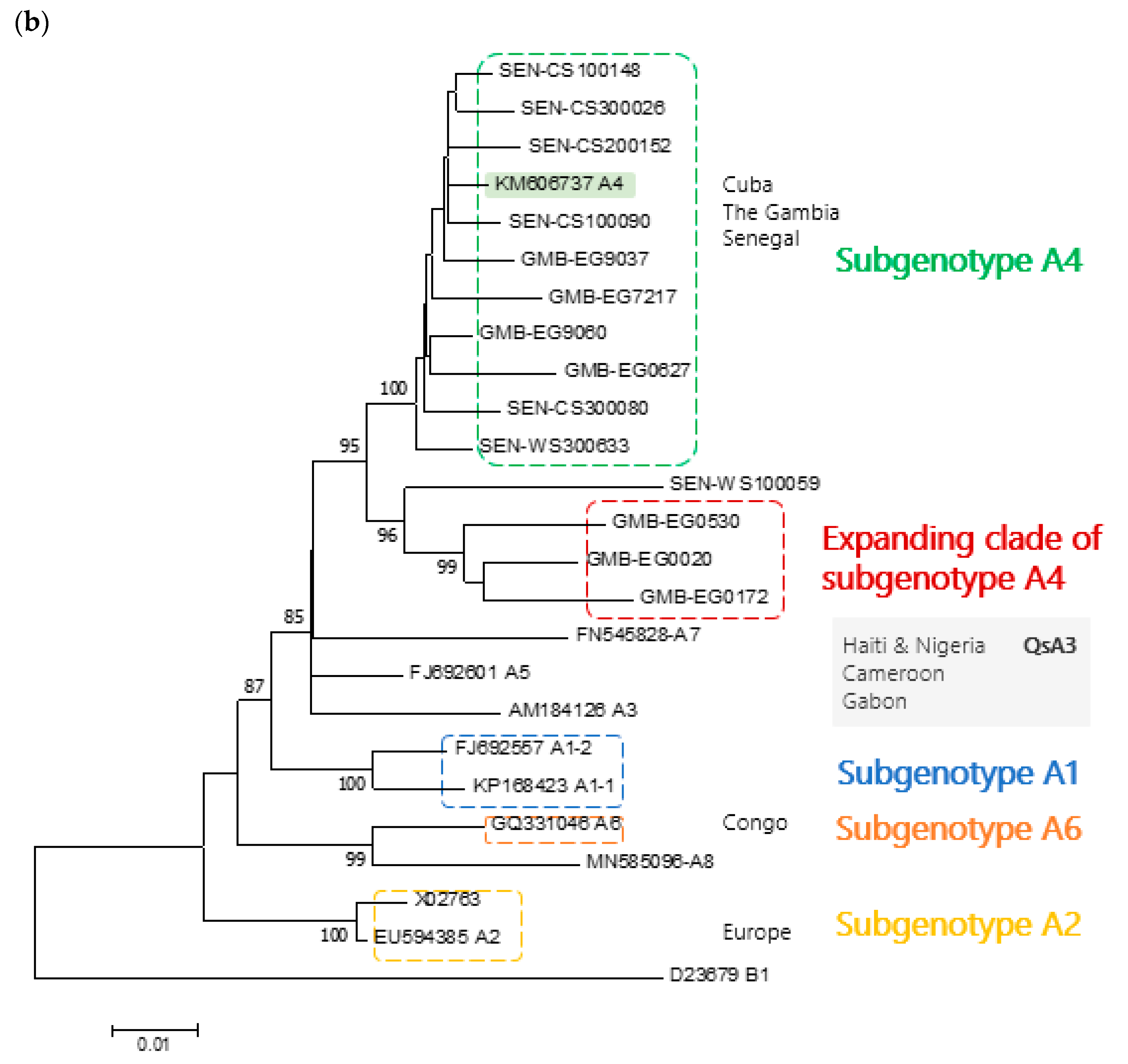 Microorganisms 09 00623 g001b