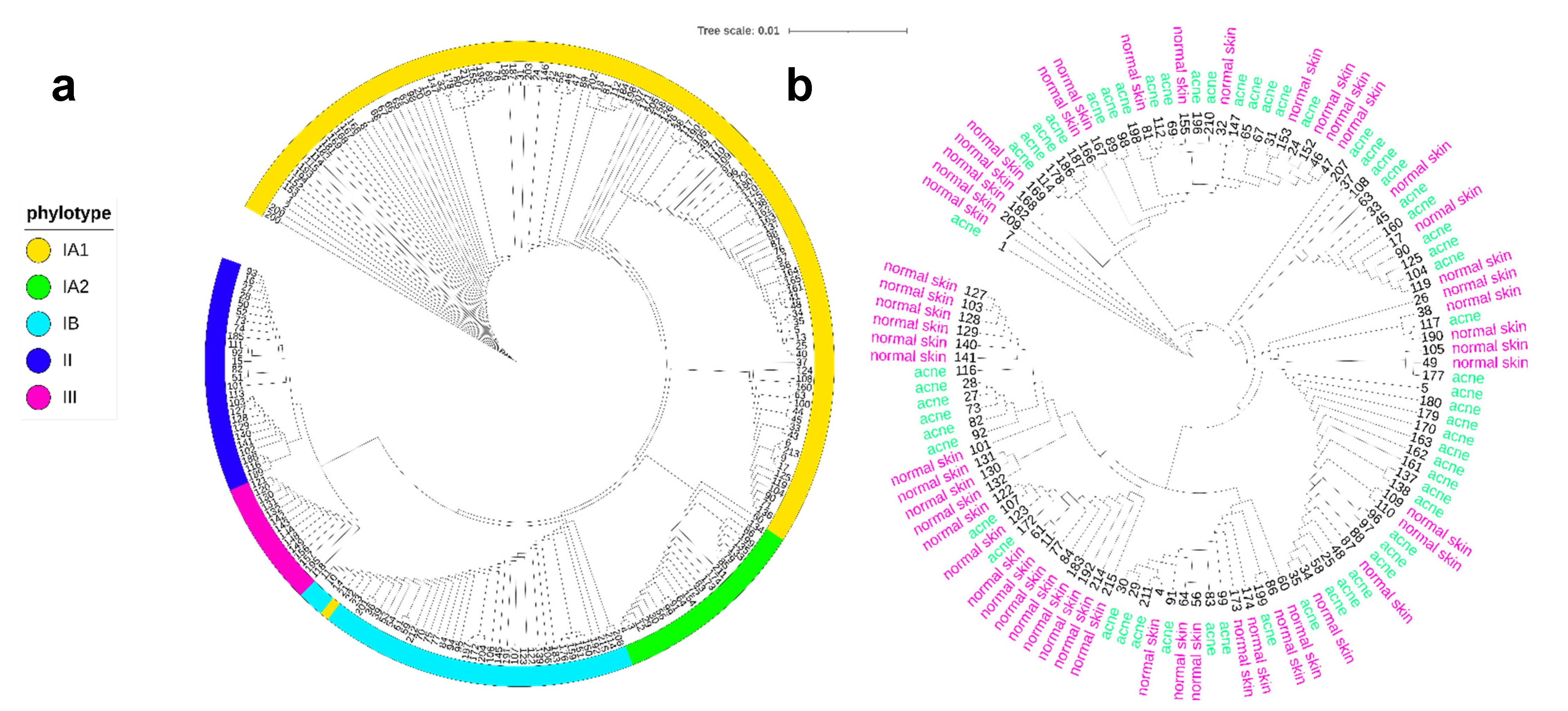 Microorganisms 09 00628 g002
