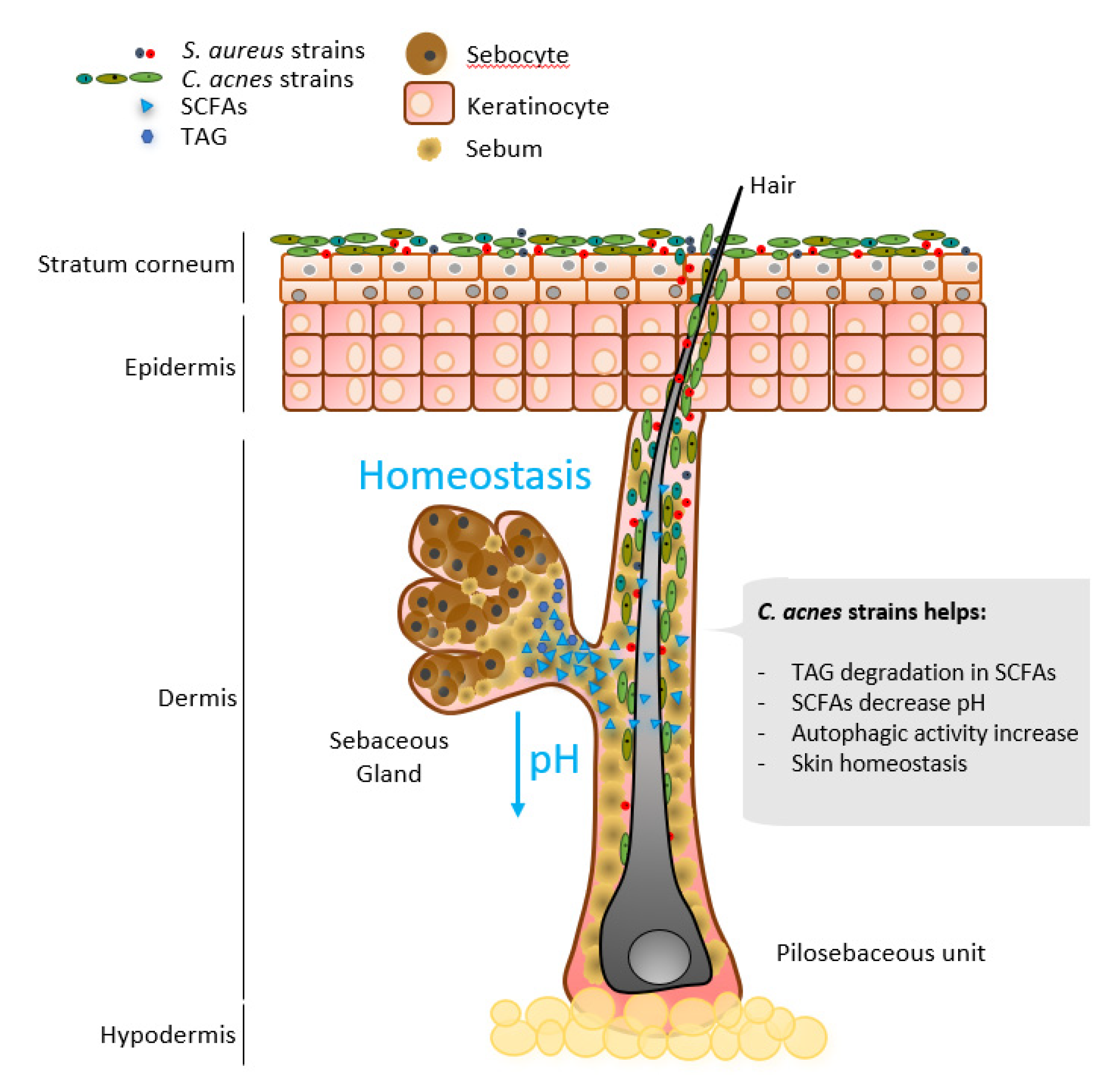 Microorganisms 09 00628 g003