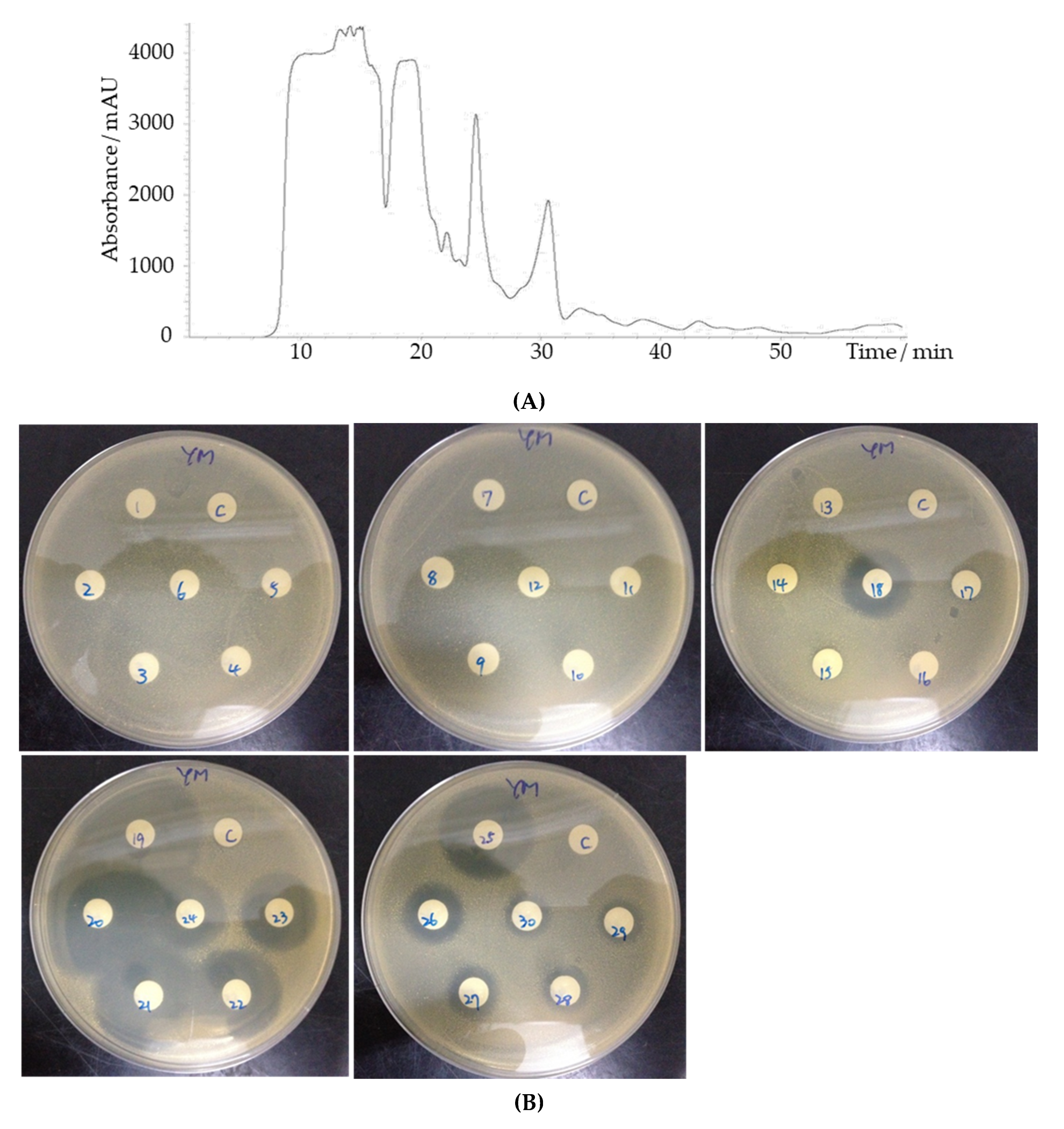 Microorganisms 09 00630 g007 Microorganisms 09 00630 g007