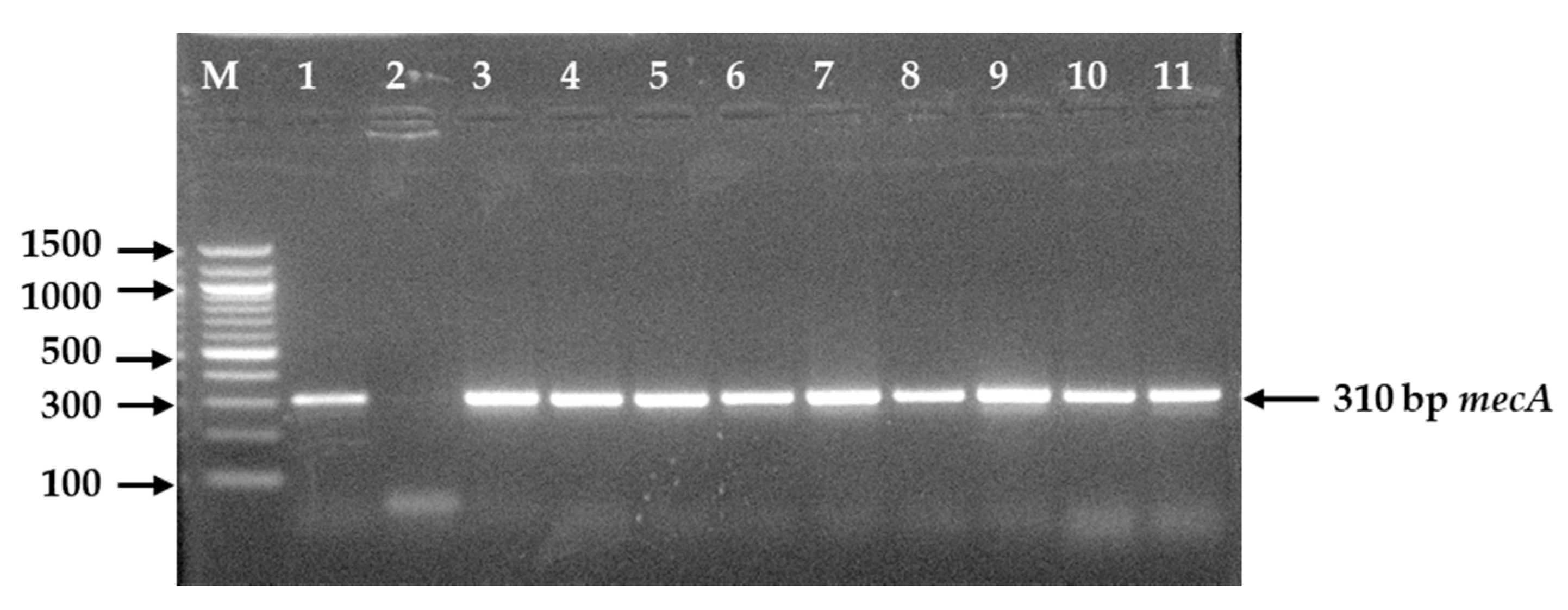 Microorganisms 09 00636 g005