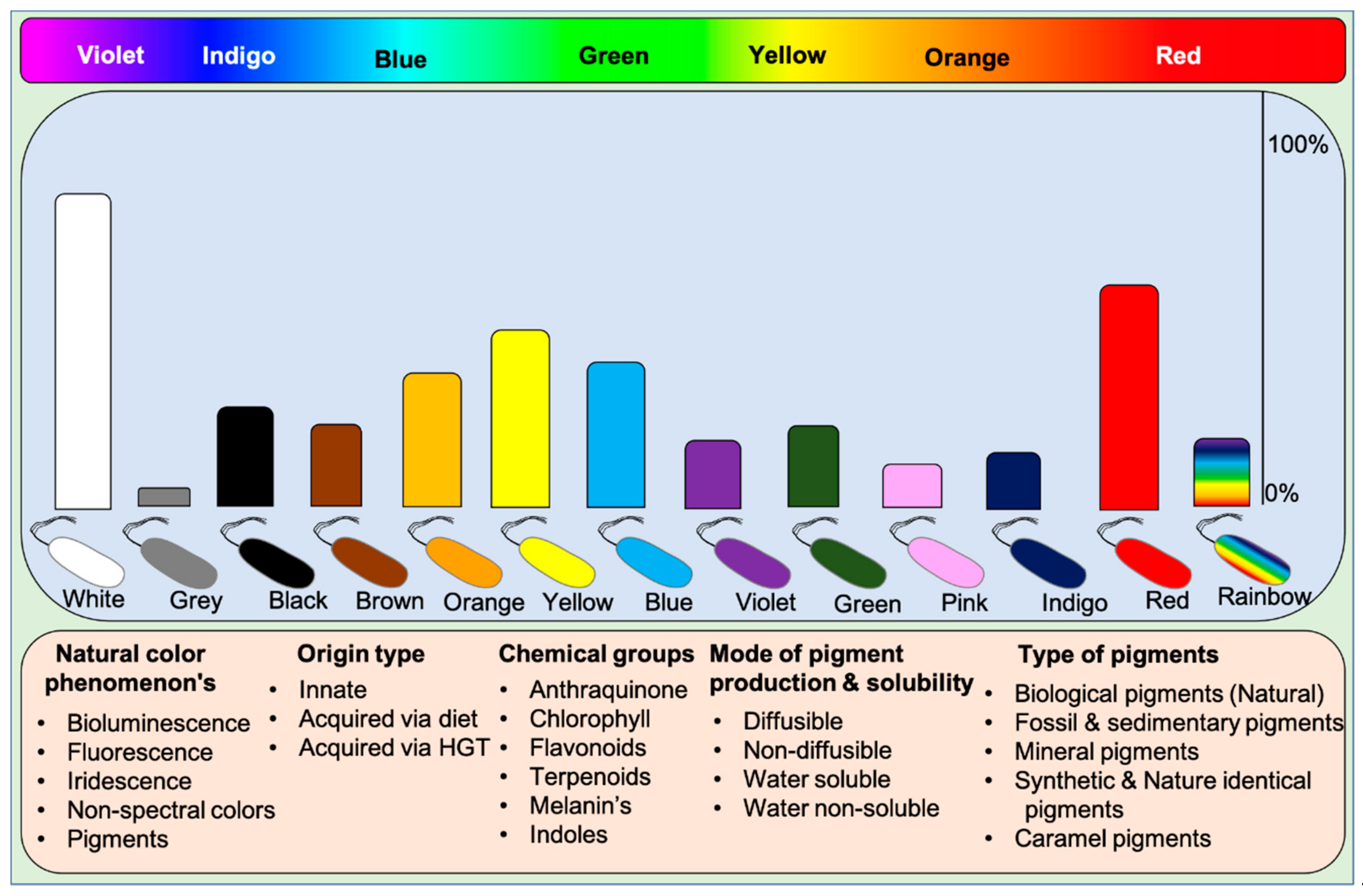 Digital Medical-Grade Scale - Rainbow Technology