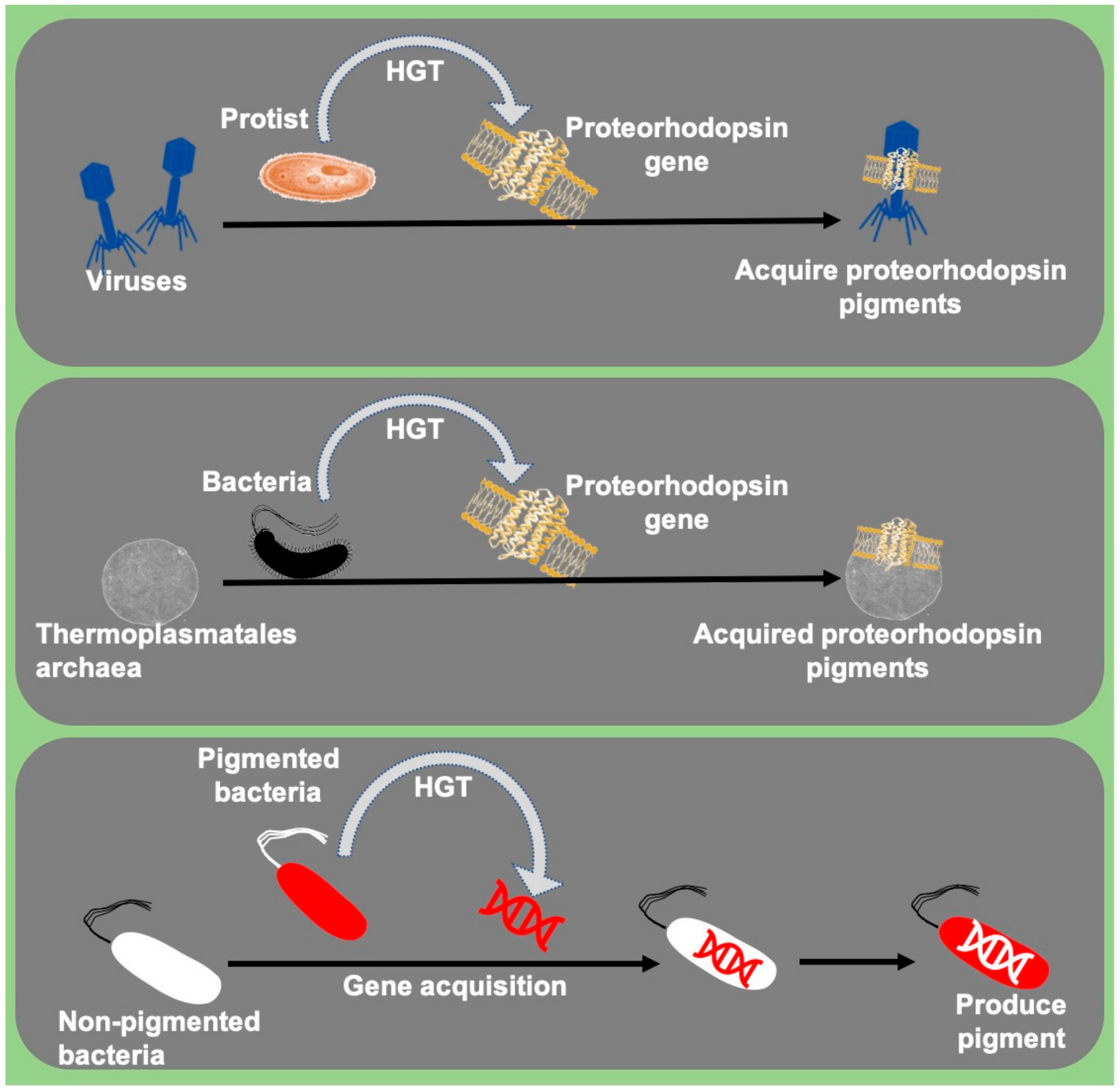 Microorganisms 09 00637 g003 Microorganisms 09 00637 g003