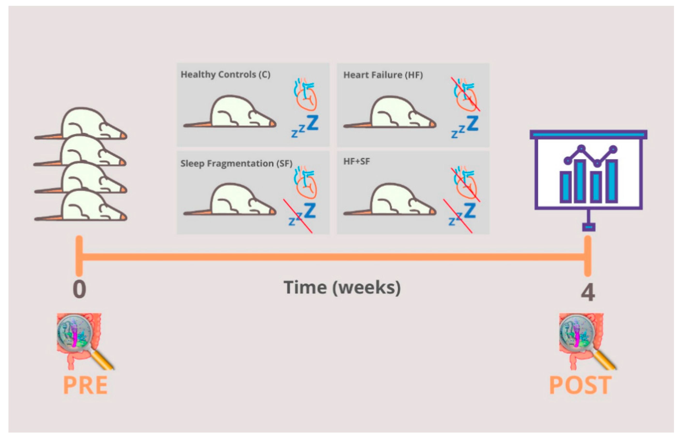 Microorganisms 09 00641 g001 Microorganisms 09 00641 g001