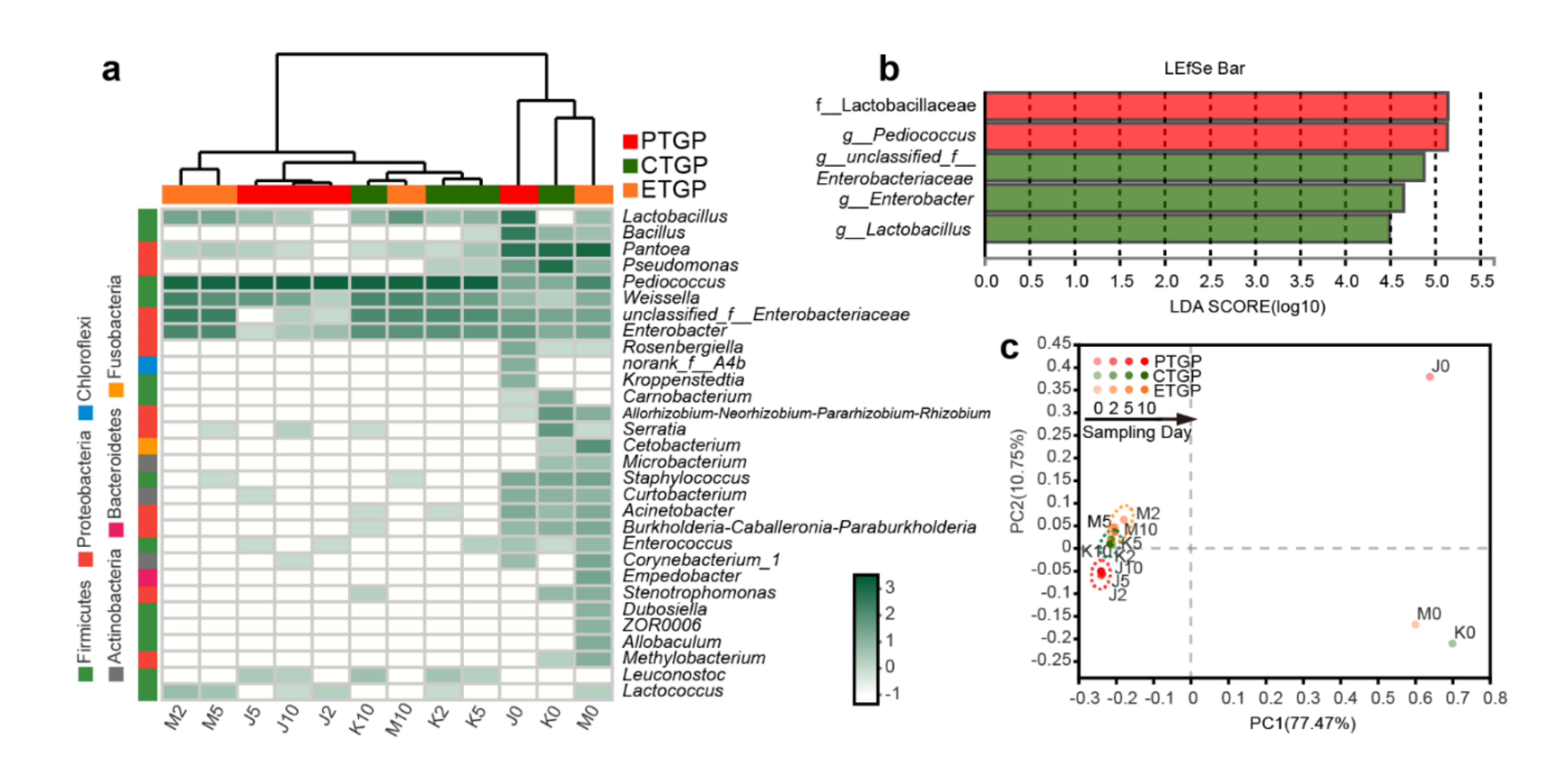 Microorganisms 09 00644 g002