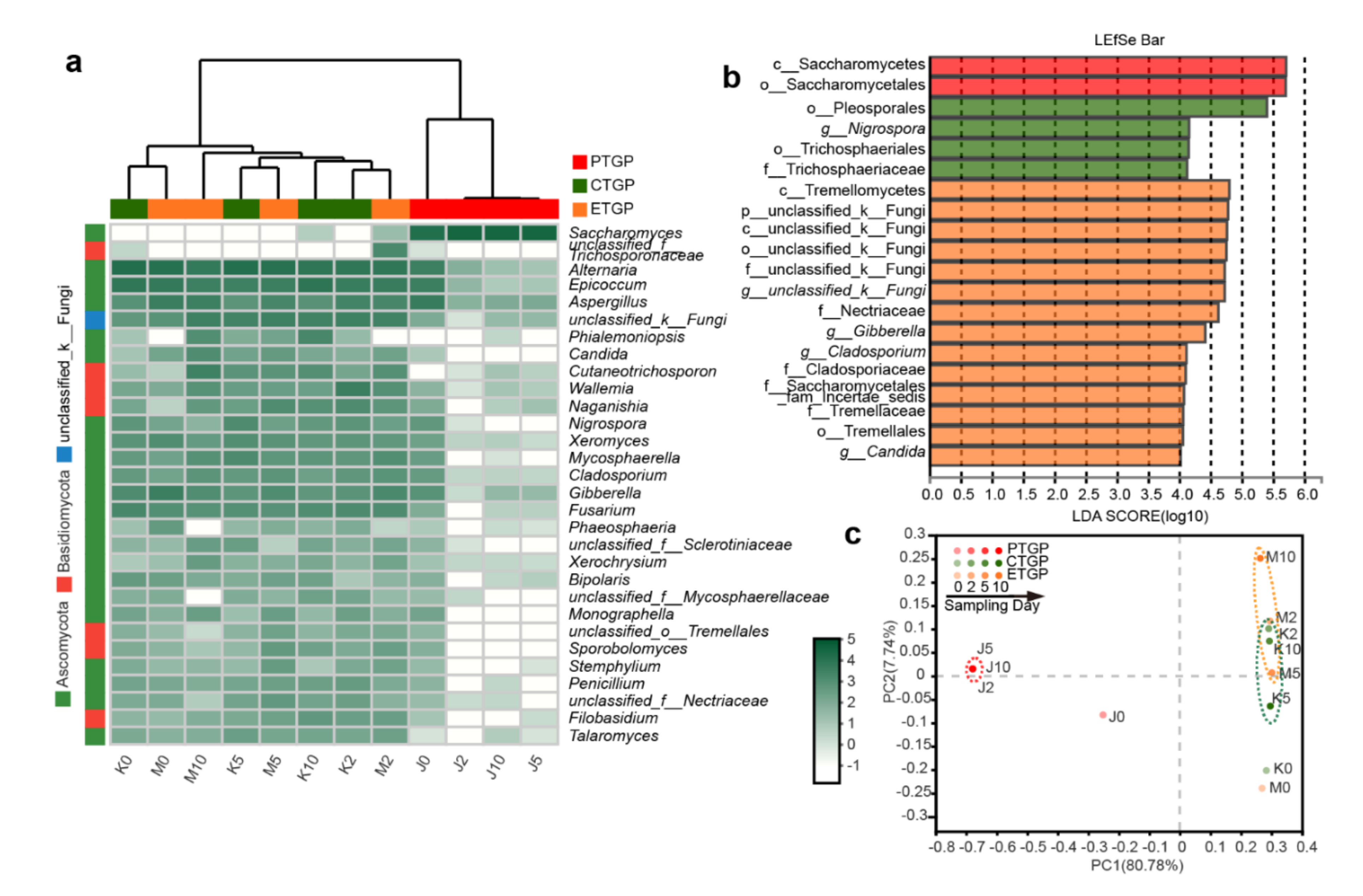 Microorganisms 09 00644 g003