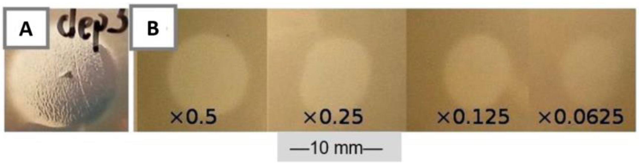 Microorganisms 09 00650 g006
