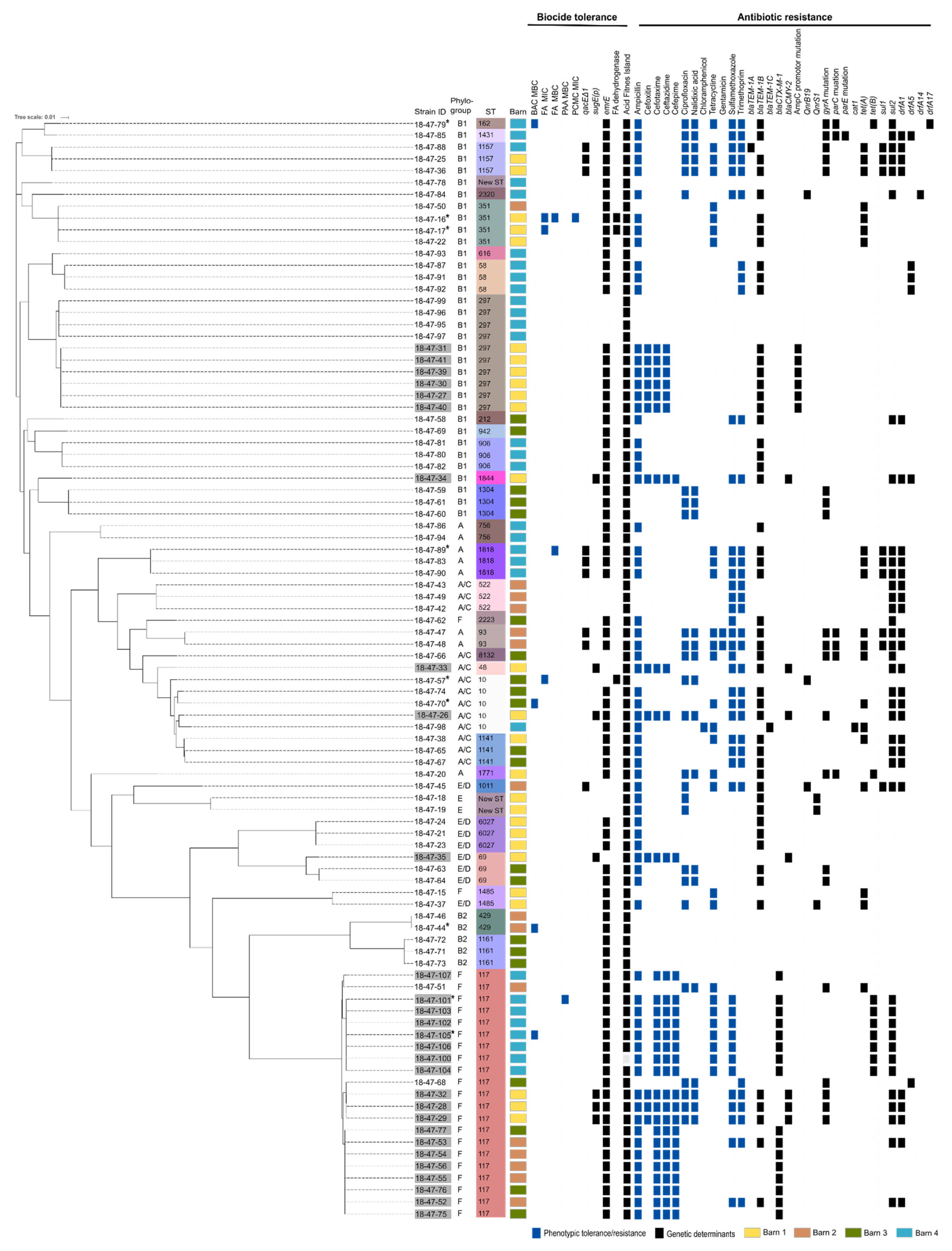 Microorganisms Free Full Text Genetic But No Phenotypic Associations Between Biocide Tolerance And Antibiotic Resistance In Escherichia Coli From German Broiler Fattening Farms Html