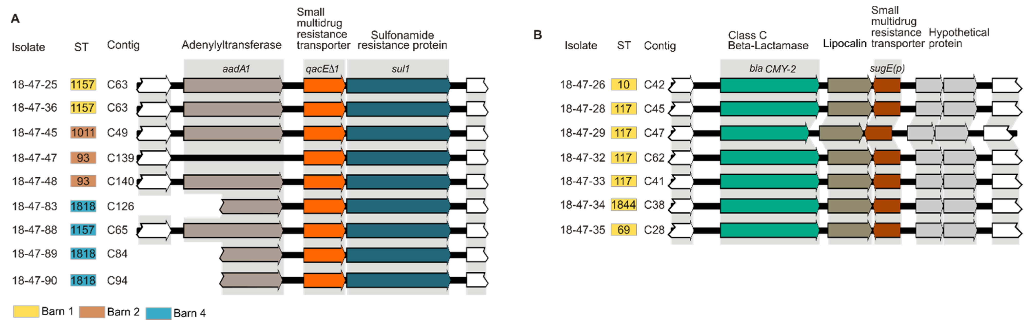 Microorganisms Free Full Text Genetic But No Phenotypic Associations Between Biocide Tolerance And Antibiotic Resistance In Escherichia Coli From German Broiler Fattening Farms Html