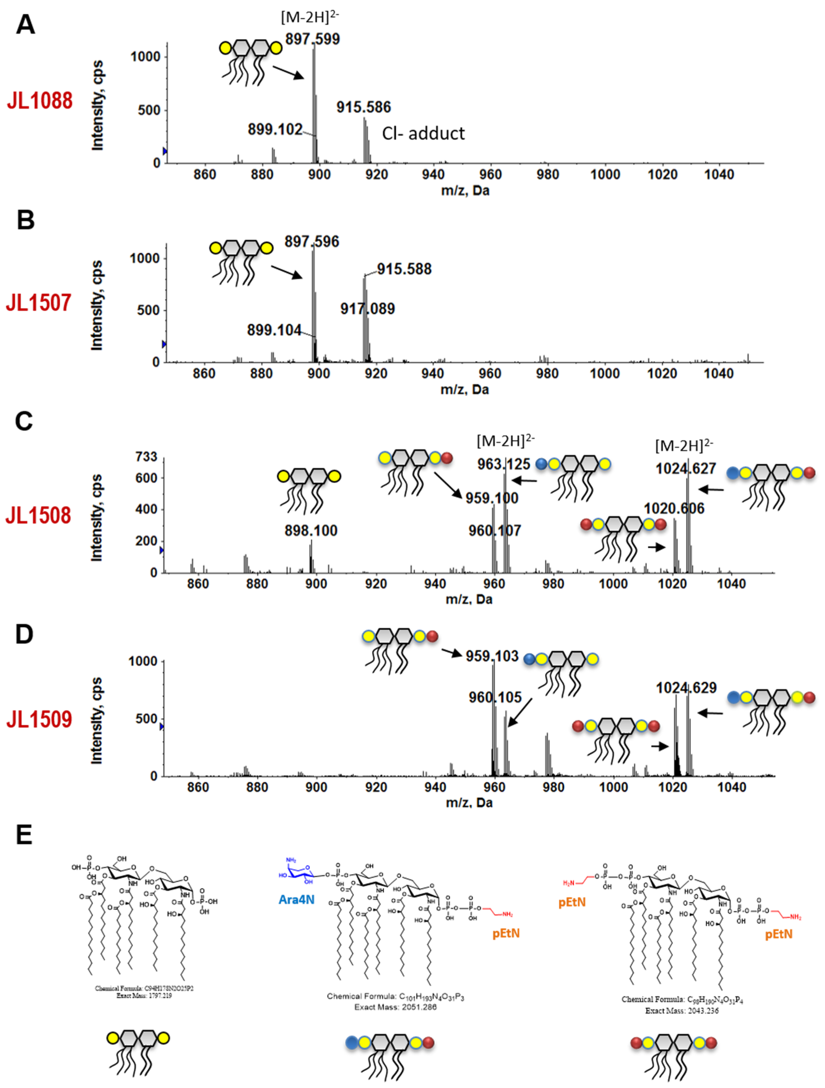 Microorganisms 09 00655 g003