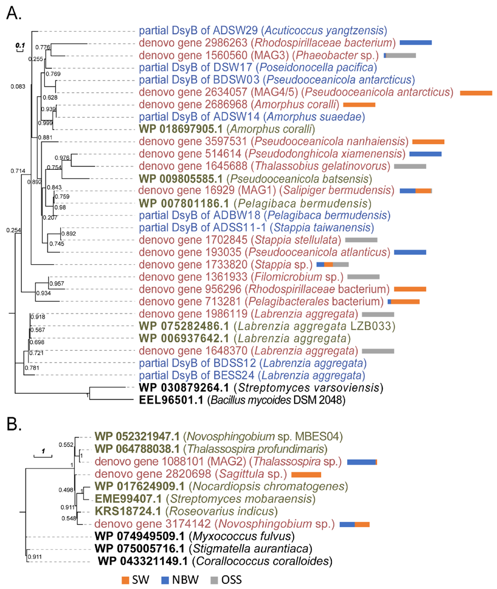 Microorganisms 09 00657 g007 Microorganisms 09 00657 g007