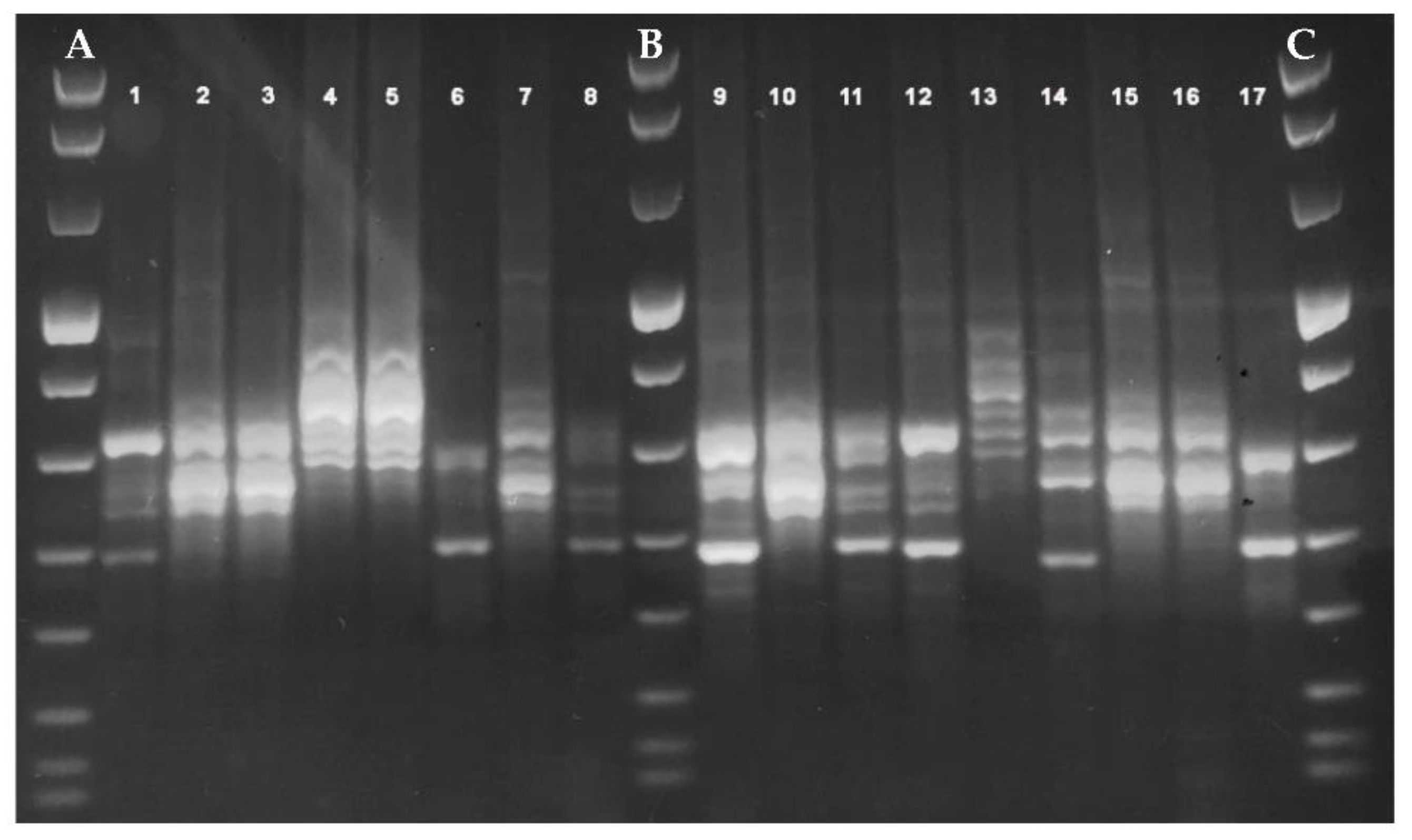 Microorganisms 09 00661 g002 Microorganisms 09 00661 g002