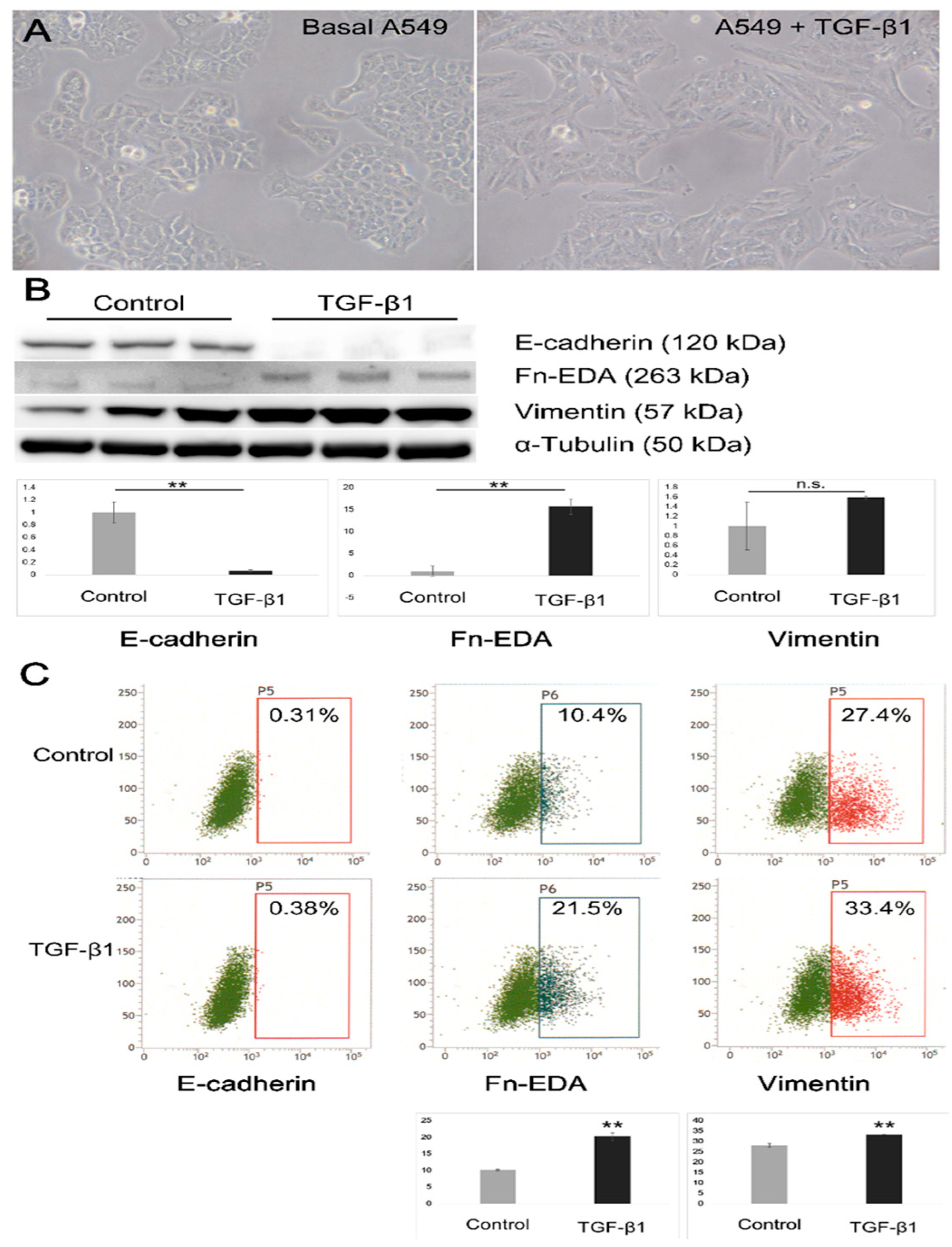 Microorganisms 09 00662 g001 Microorganisms 09 00662 g001