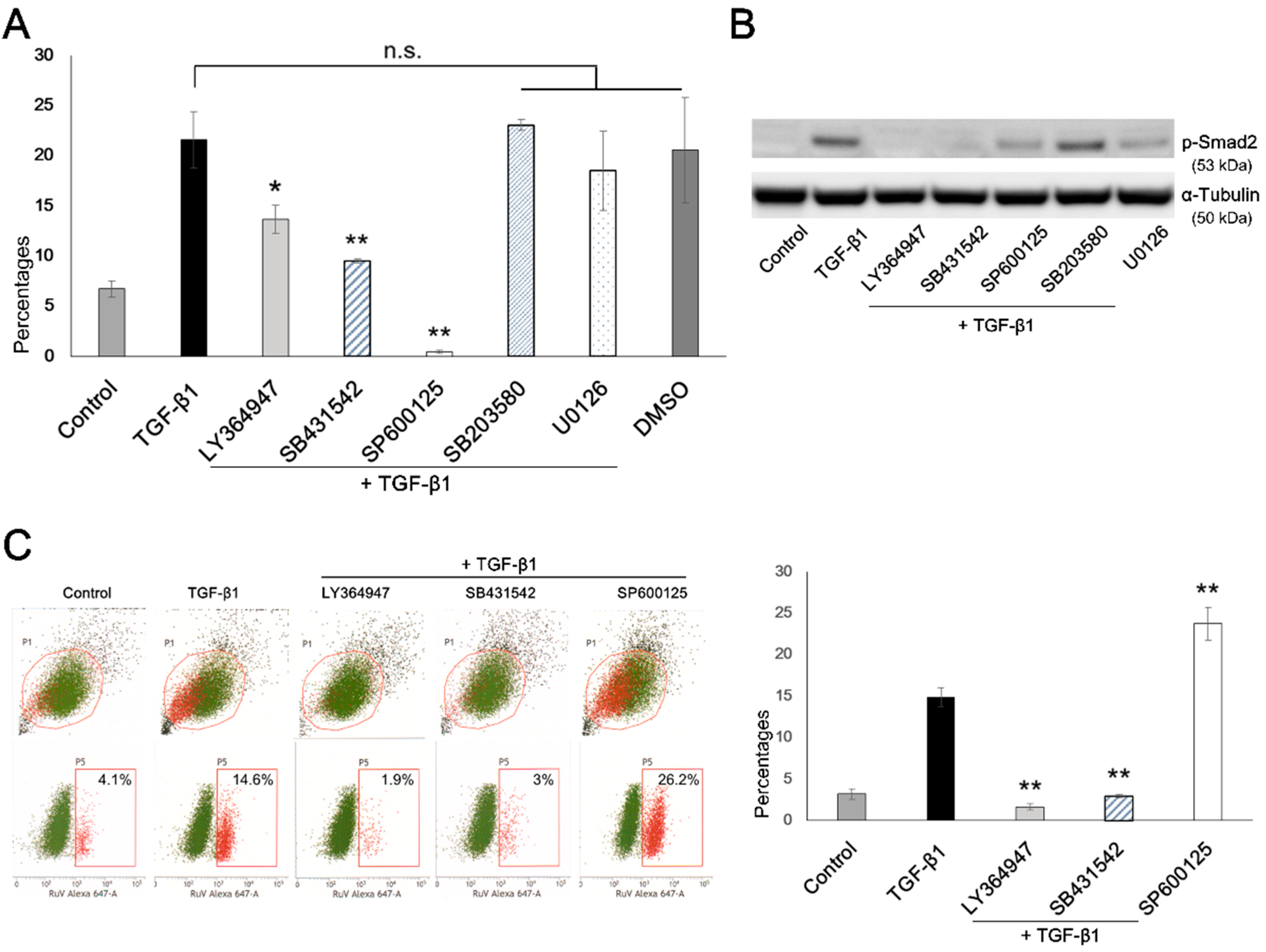 Microorganisms 09 00662 g005 Microorganisms 09 00662 g005