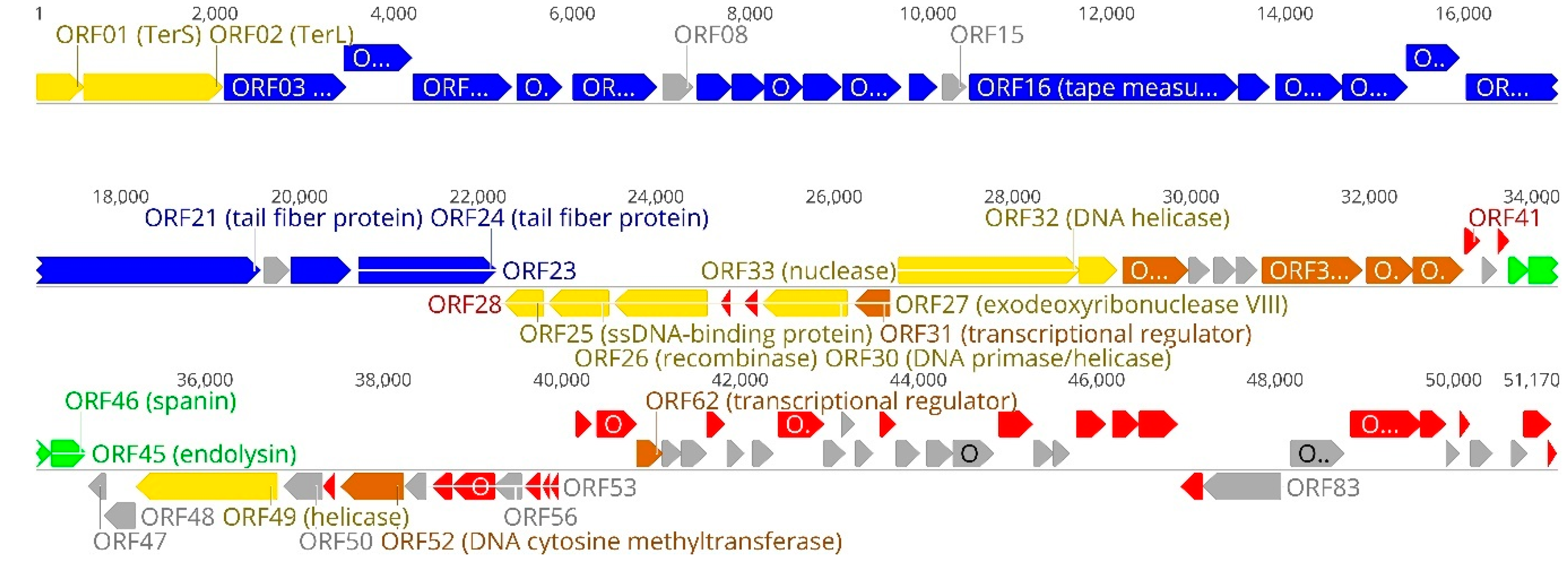 Microorganisms 09 00668 g003 Microorganisms 09 00668 g003