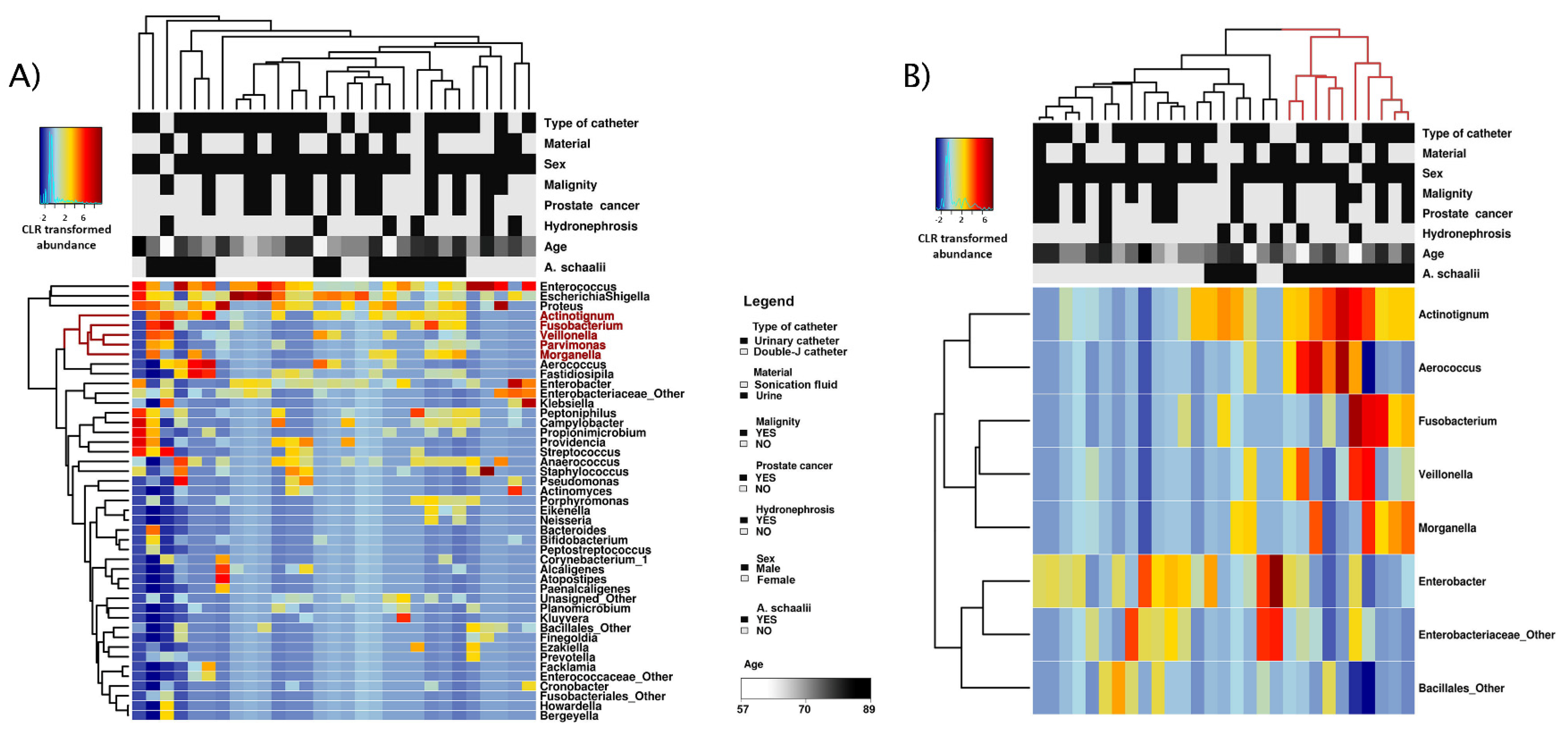 Microorganisms 09 00669 g007