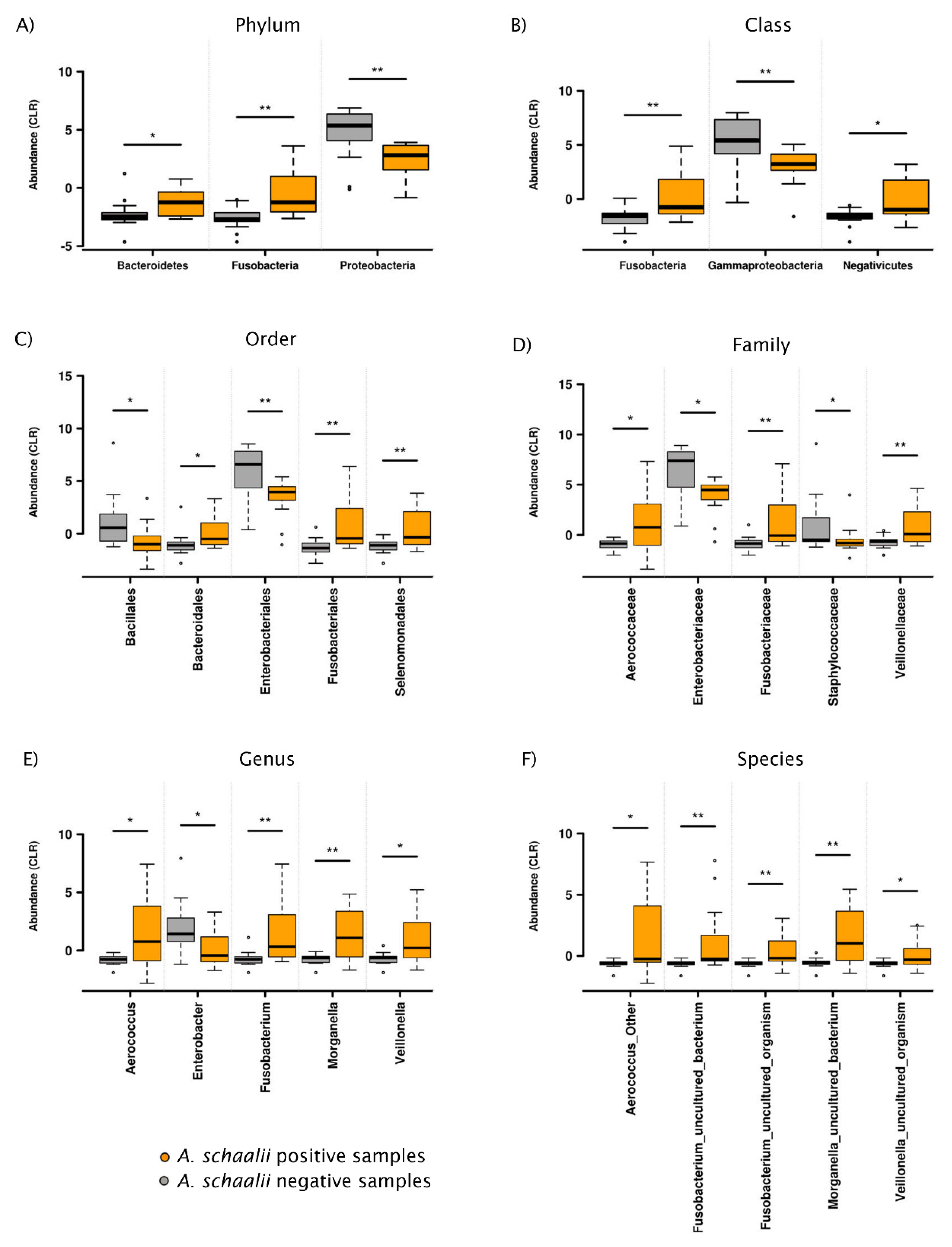 Microorganisms 09 00669 g008
