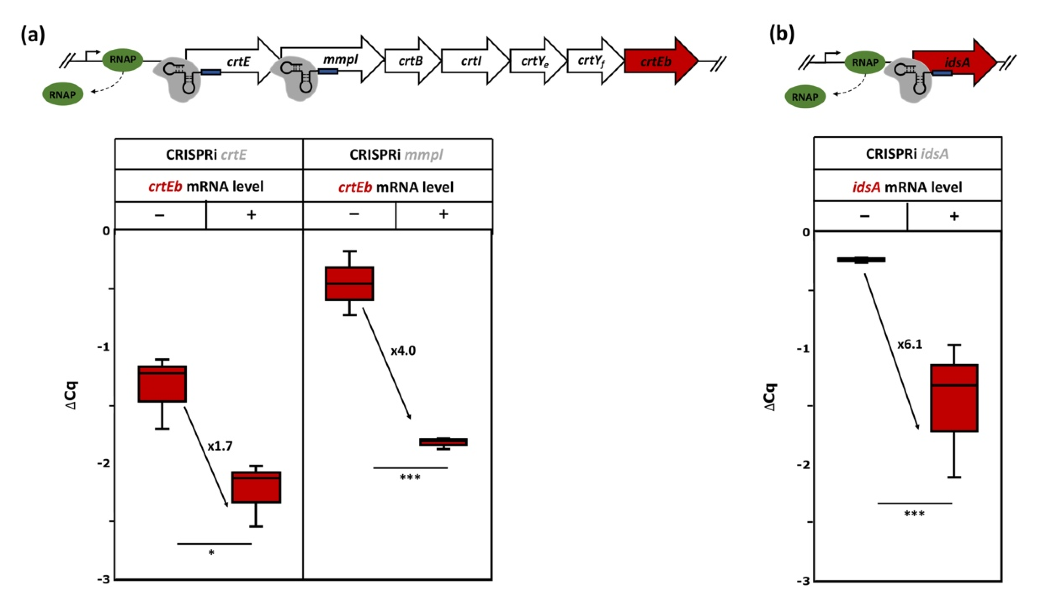Microorganisms 09 00670 g006 Microorganisms 09 00670 g006