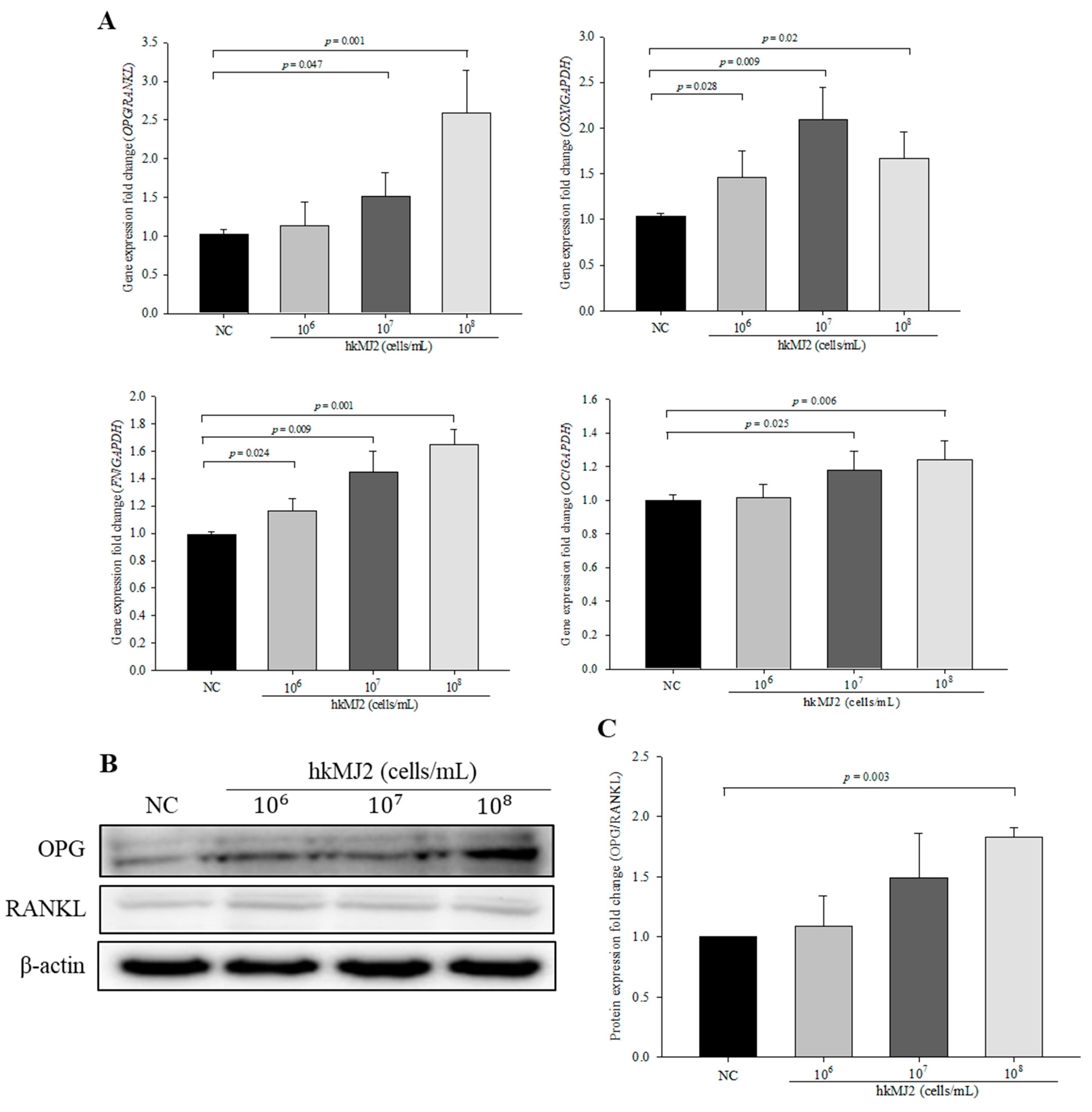Microorganisms 09 00673 g003 Microorganisms 09 00673 g003