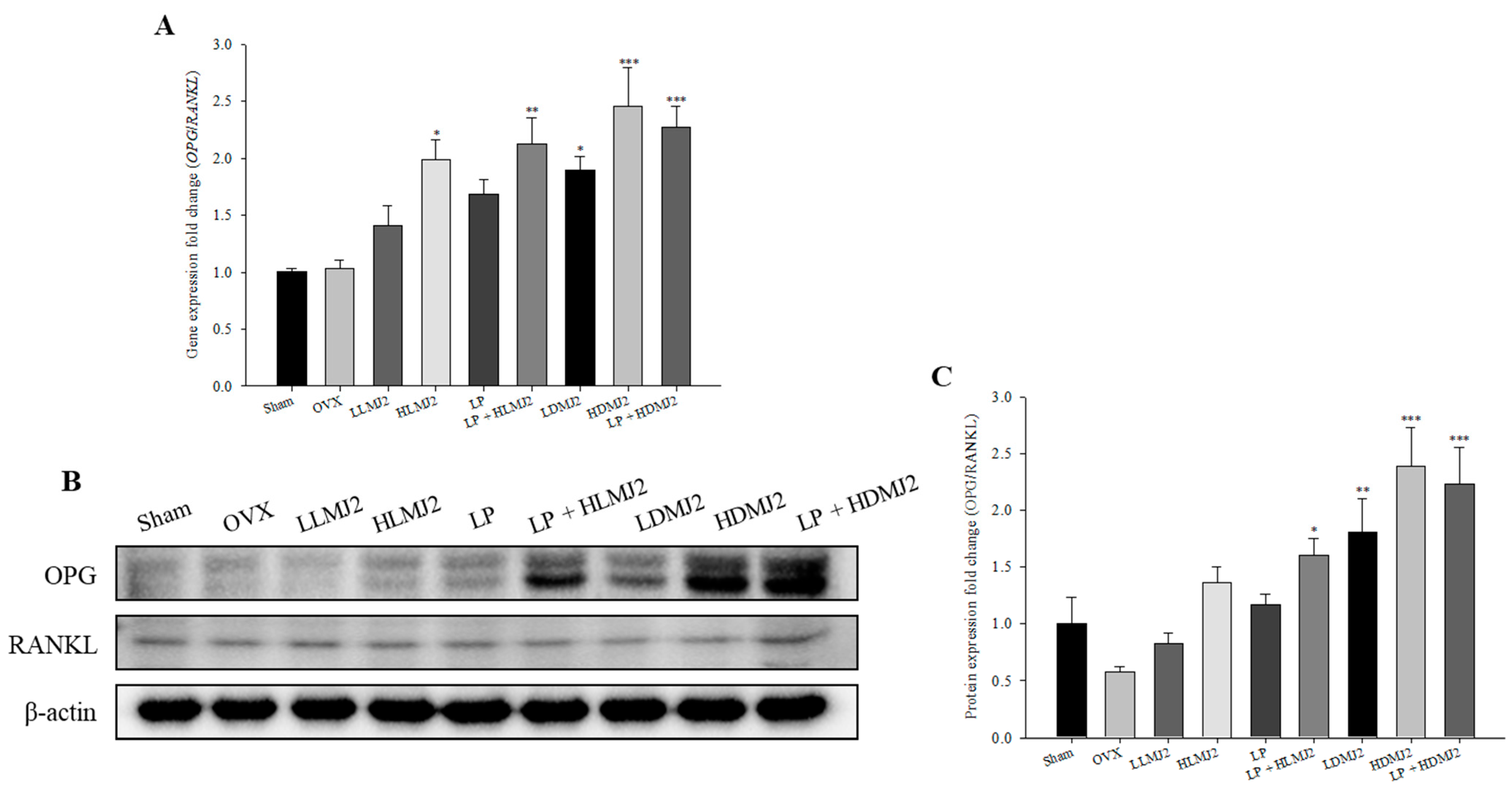 Microorganisms 09 00673 g008 Microorganisms 09 00673 g008