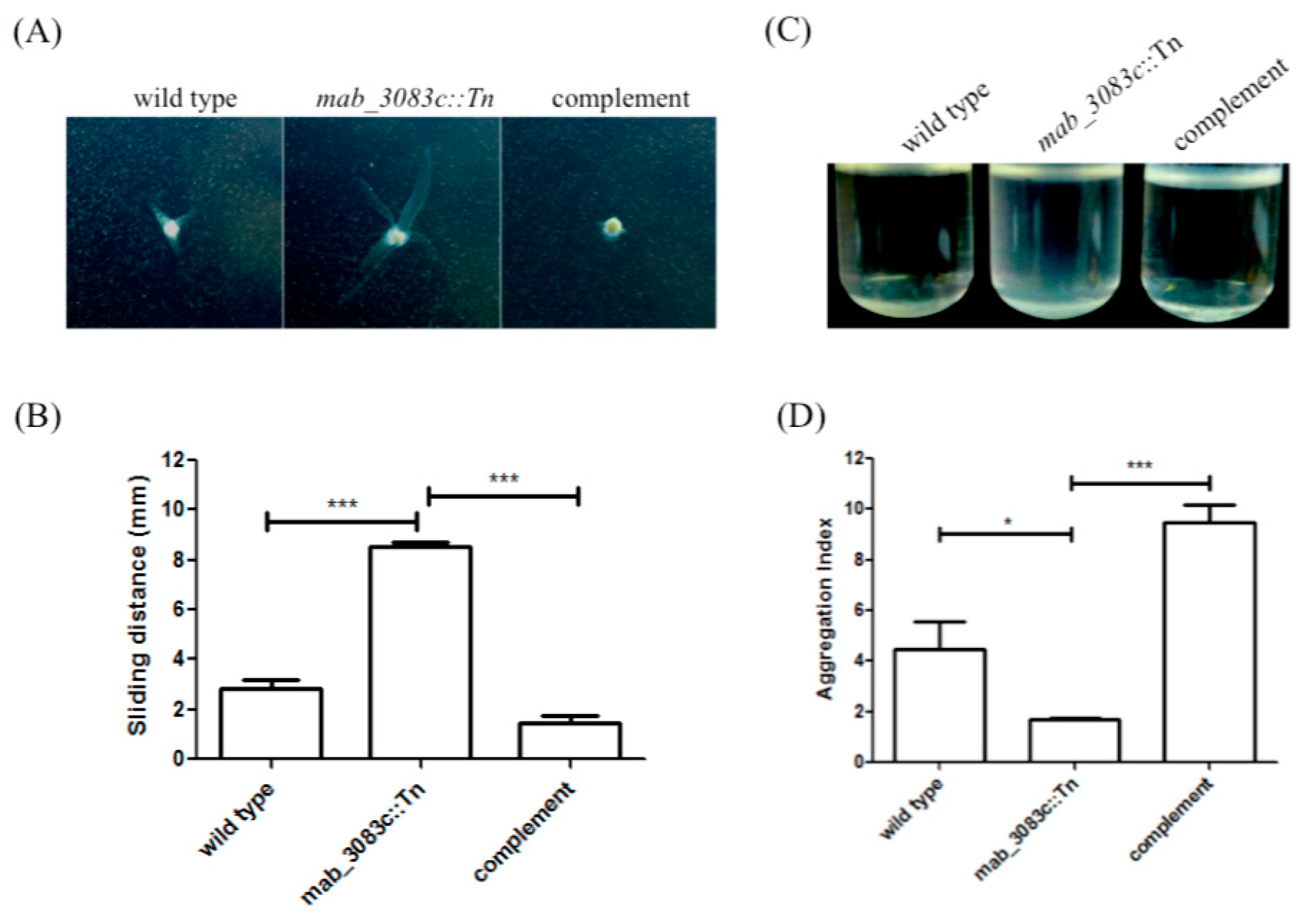 Microorganisms 09 00676 g004 Microorganisms 09 00676 g004