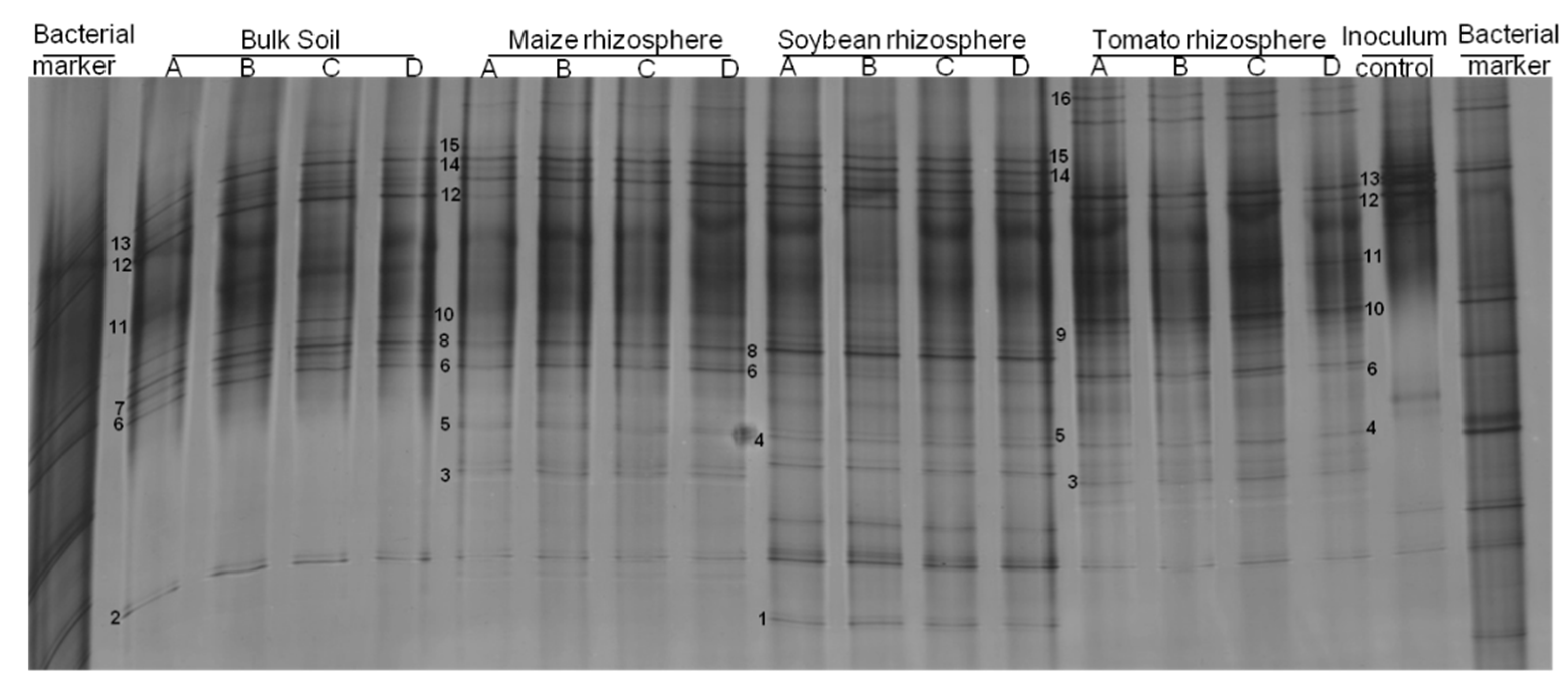 Microorganisms 09 00679 g003 Microorganisms 09 00679 g003