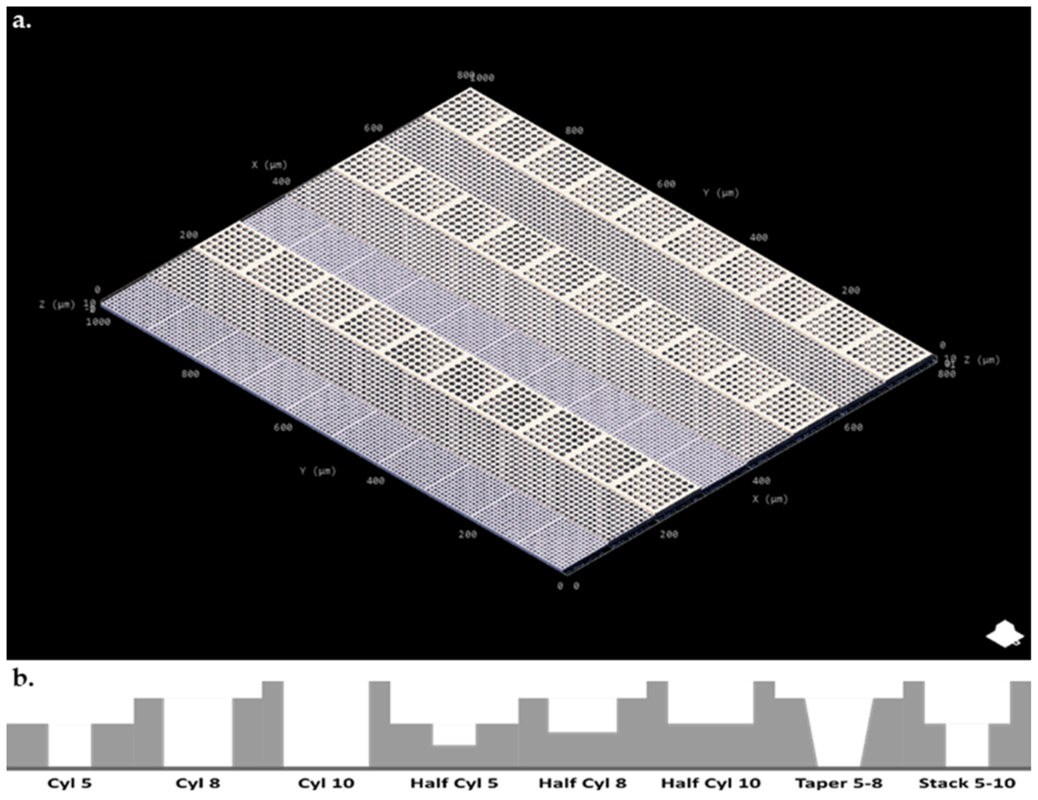 Microorganisms 09 00680 g001