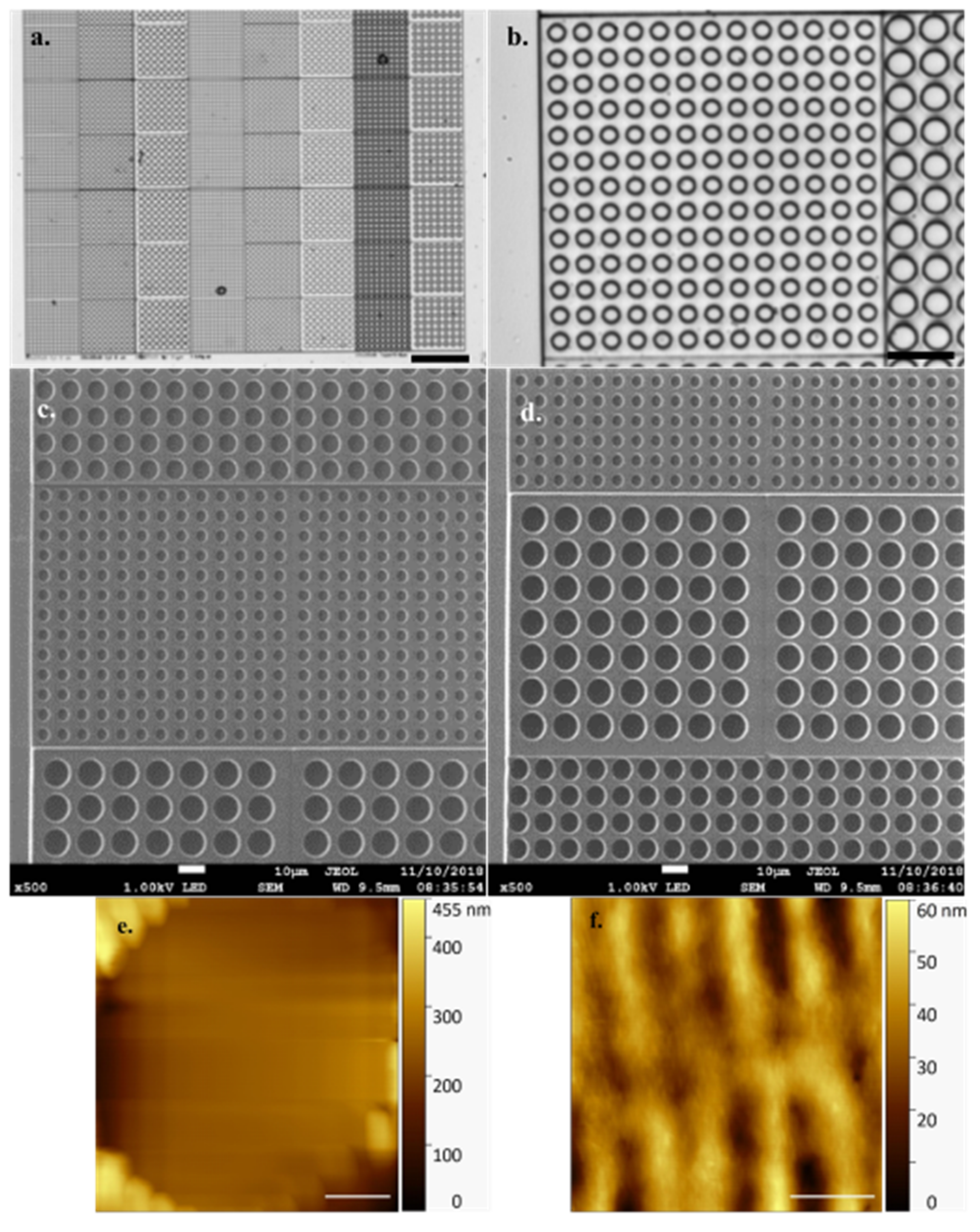 Microorganisms 09 00680 g002