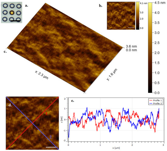 Microorganisms Free Full Text A Non Destructive Tuneable Method To Isolate Live Cells For High Speed Afm Analysis Html
