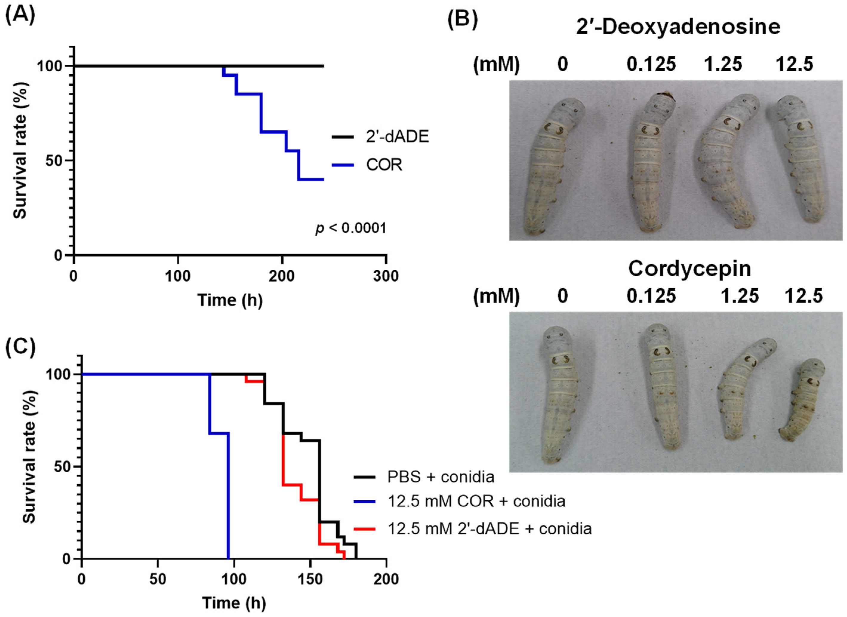 Microorganisms 09 00681 g004 Microorganisms 09 00681 g004