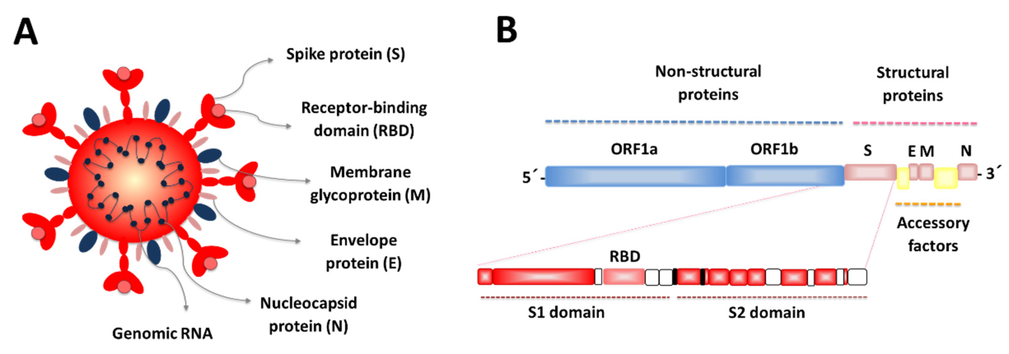 Microorganisms 09 00683 g001 Microorganisms 09 00683 g001