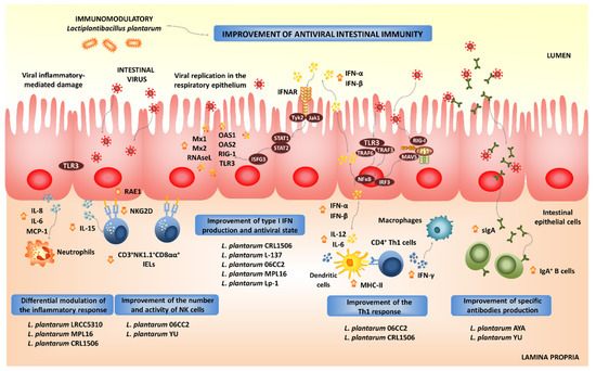 Microorganisms 09 00683 g003 550