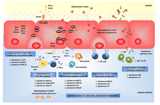 Microorganisms 09 00683 g004 550