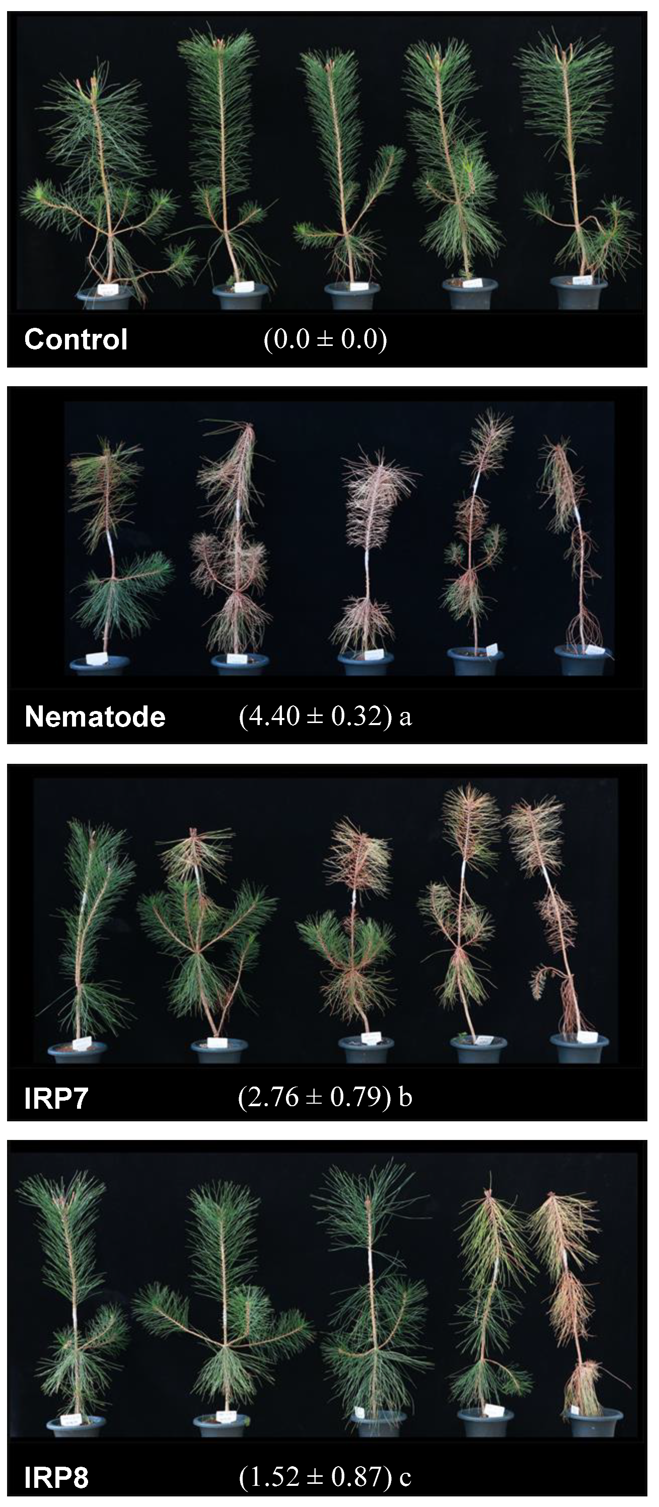 Microorganisms 09 00688 g001 Microorganisms 09 00688 g001
