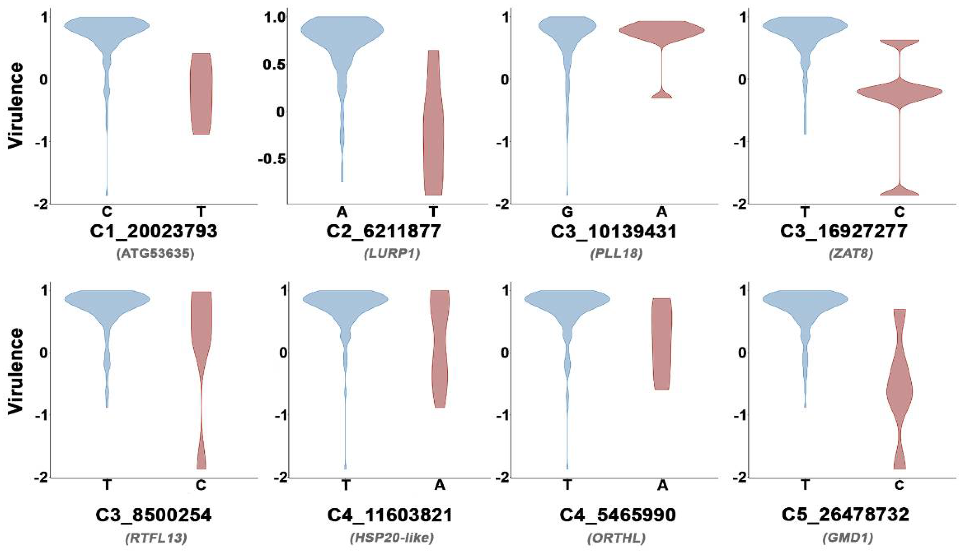 Microorganisms 09 00692 g005 Microorganisms 09 00692 g005