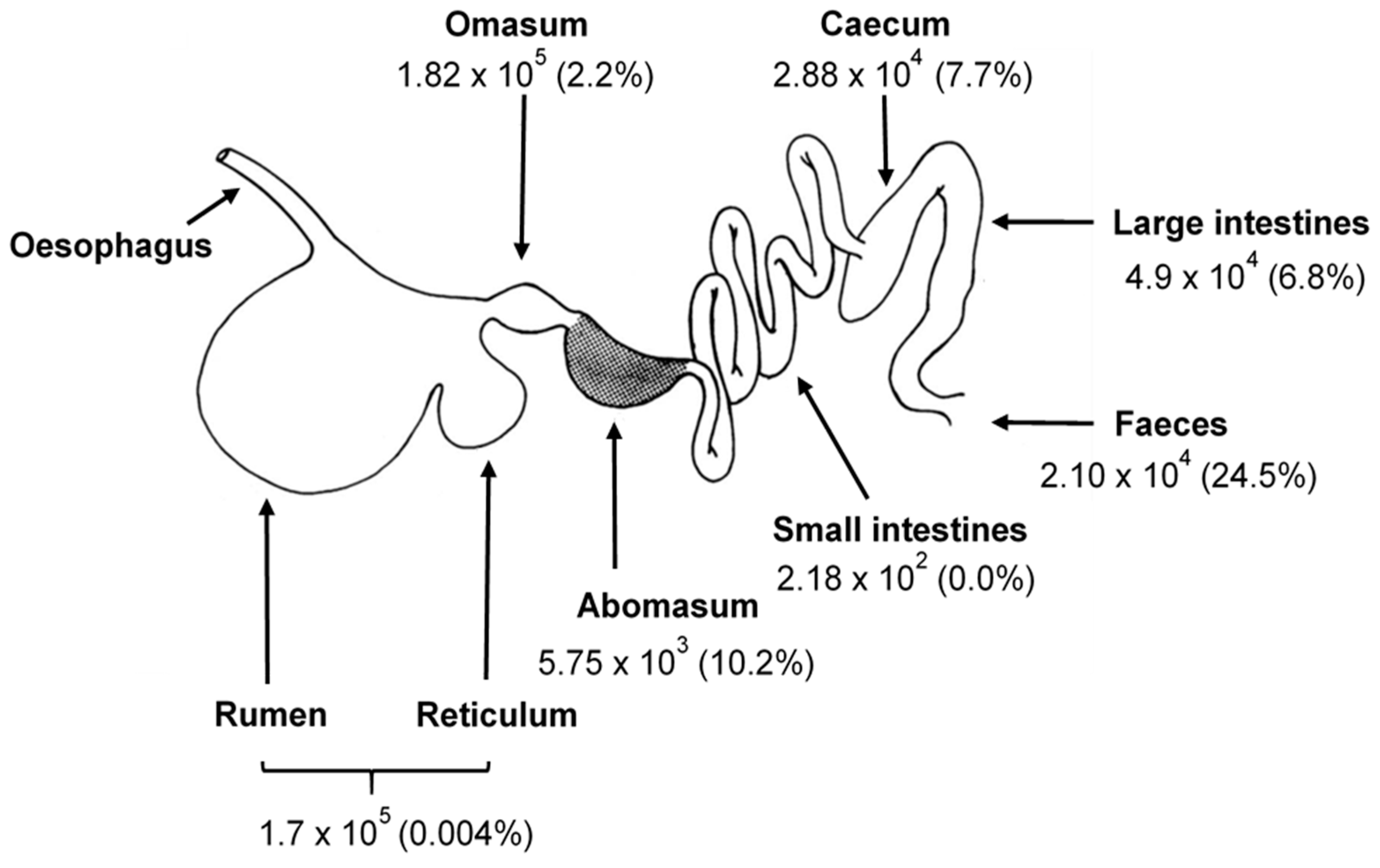 Microorganisms Free Full Text The Anaerobic Fungi Challenges And Opportunities For Industrial Lignocellulosic Biofuel Production Html