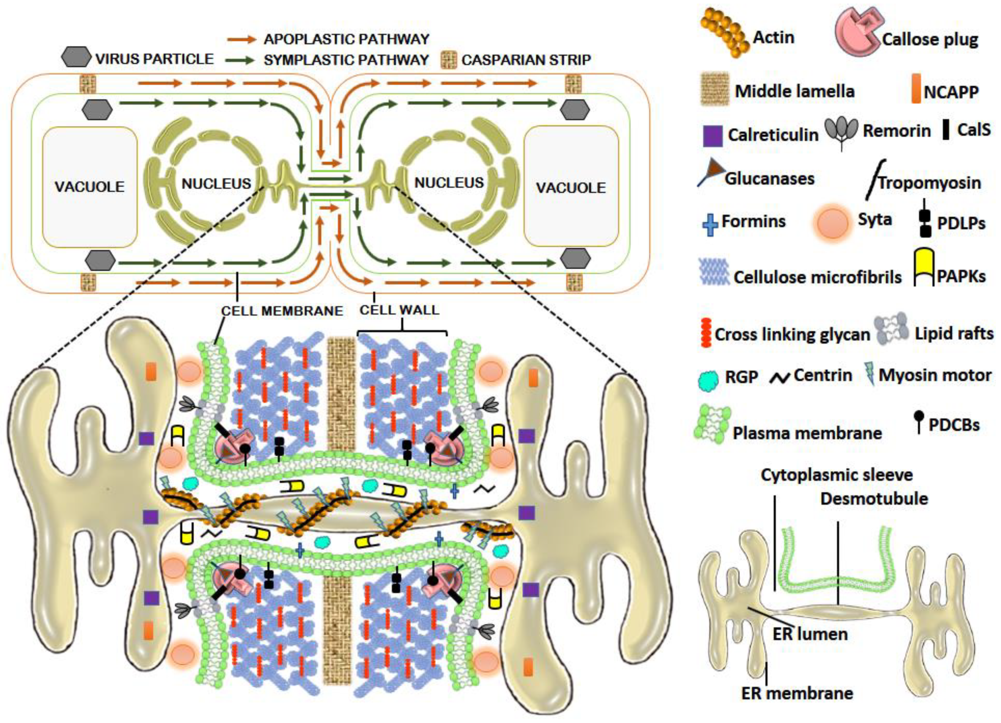 Microorganisms 09 00695 g001