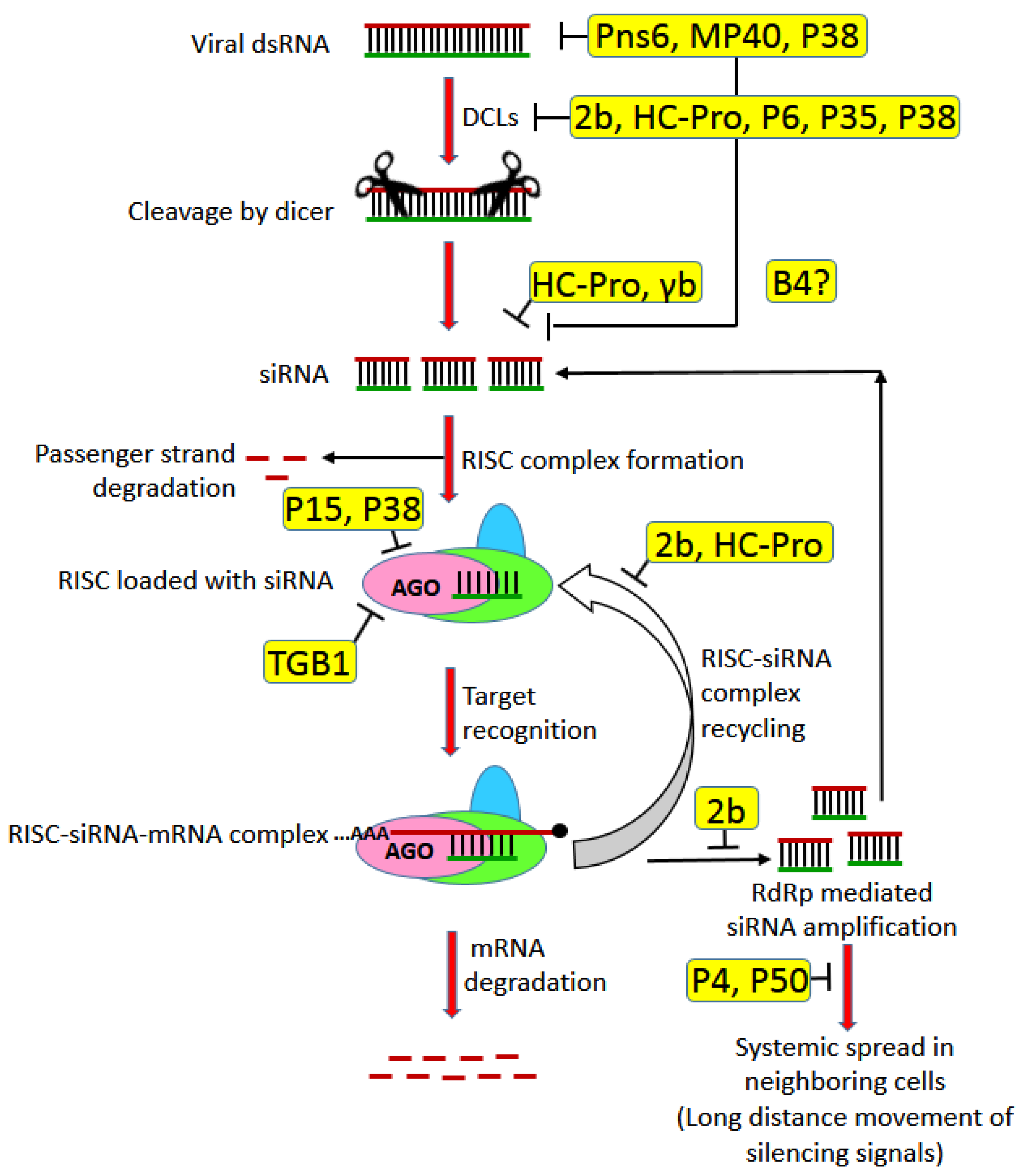 Microorganisms 09 00695 g006