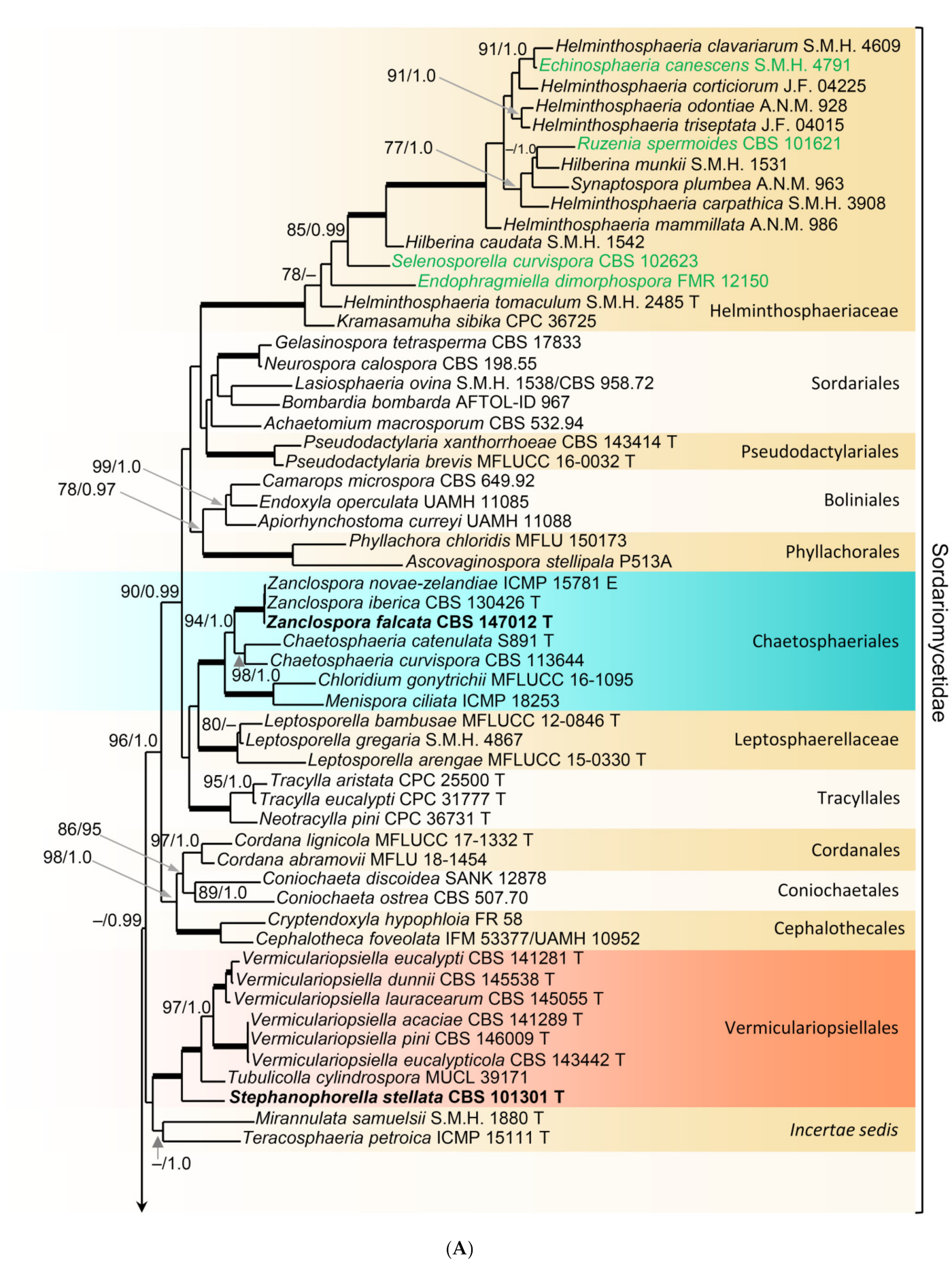 Microorganisms 09 00706 g001a