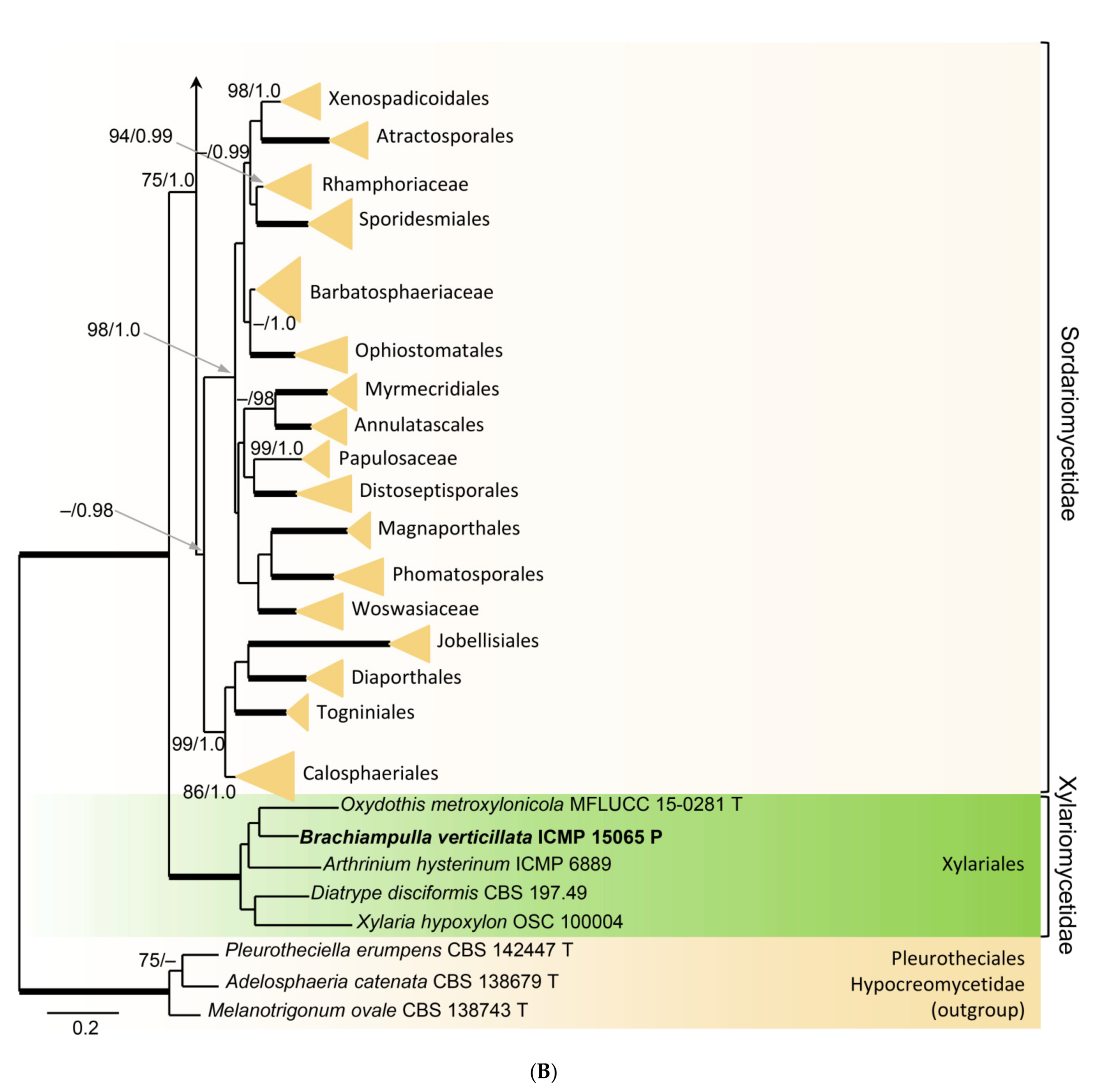 Microorganisms 09 00706 g001b