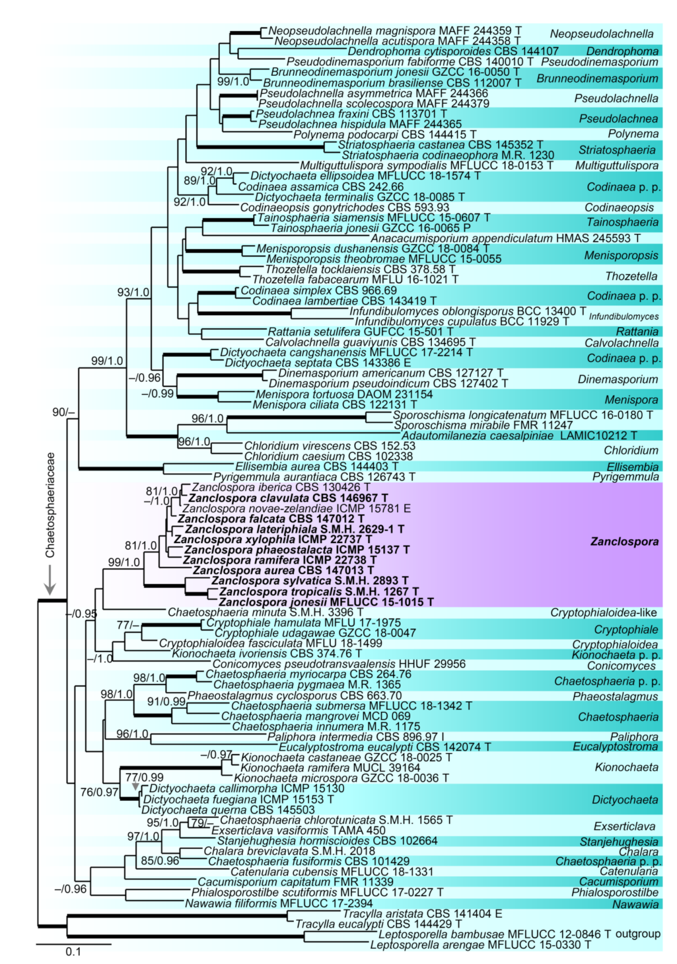 Microorganisms 09 00706 g002