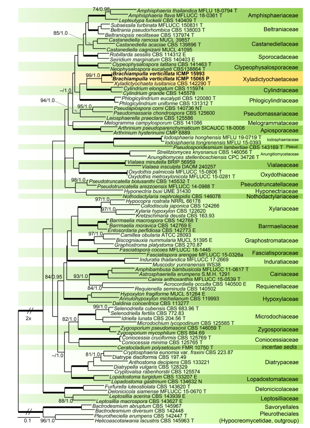 Microorganisms 09 00706 g004