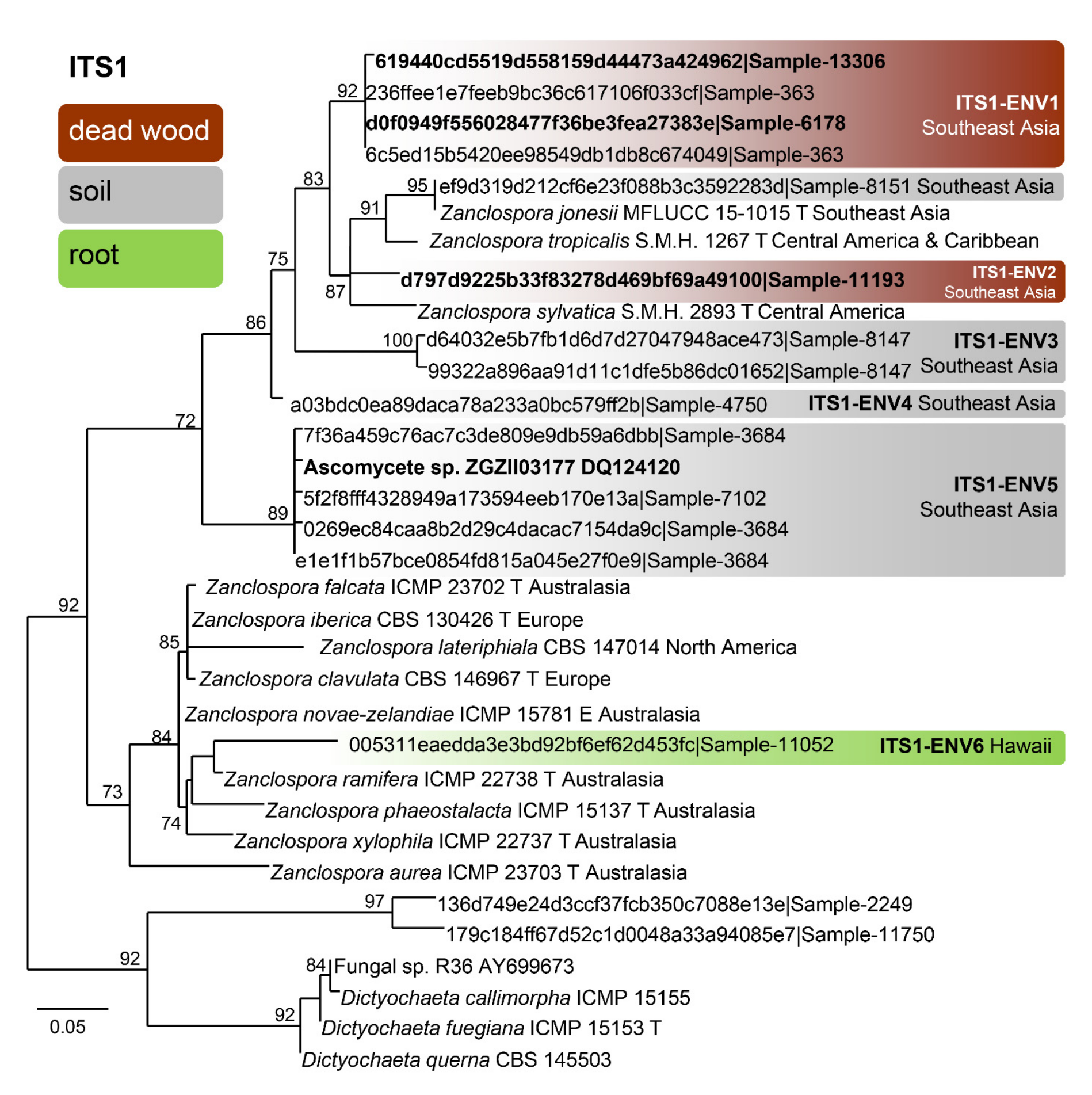 Microorganisms 09 00706 g005