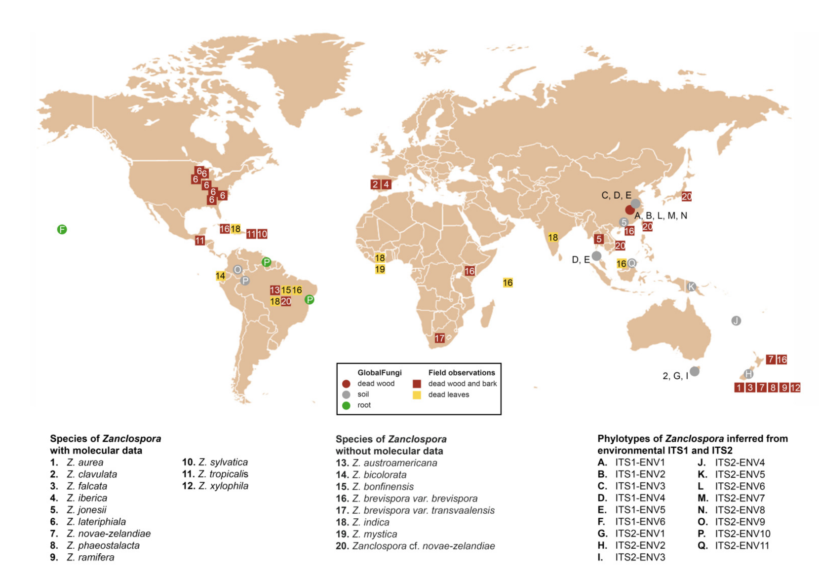 Microorganisms 09 00706 g007