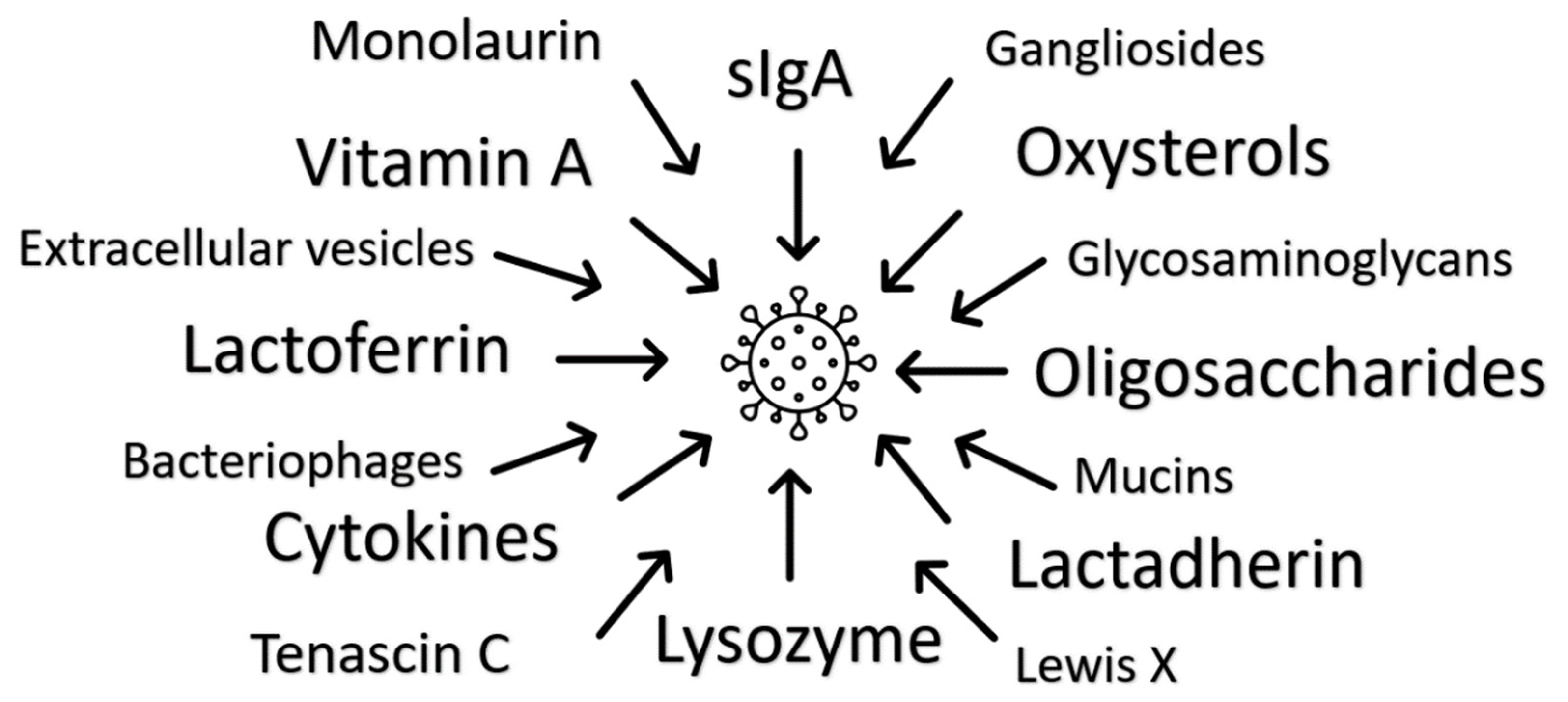 Microorganisms 09 00715 g001
